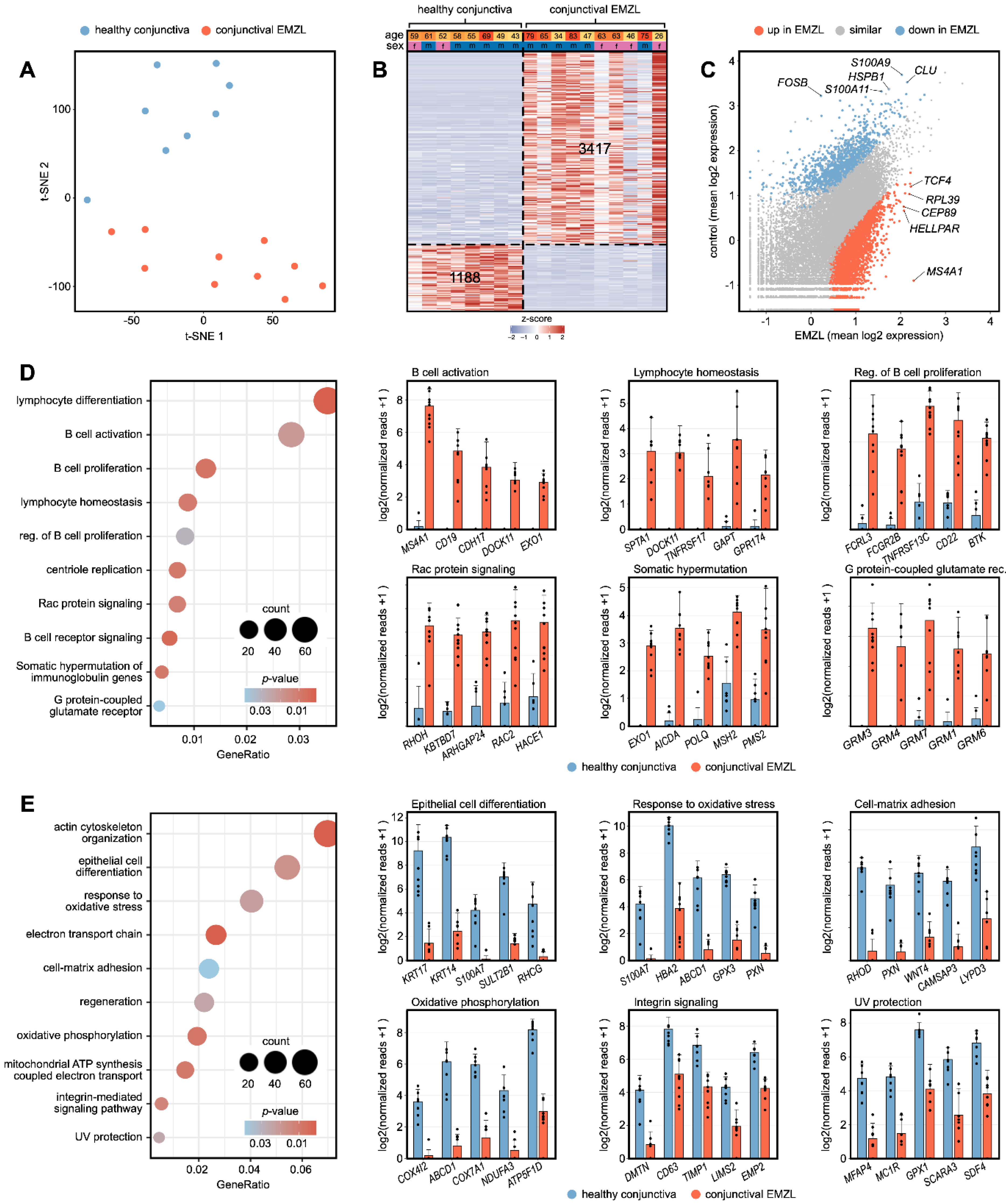 Biomolecules 13 00115 g001