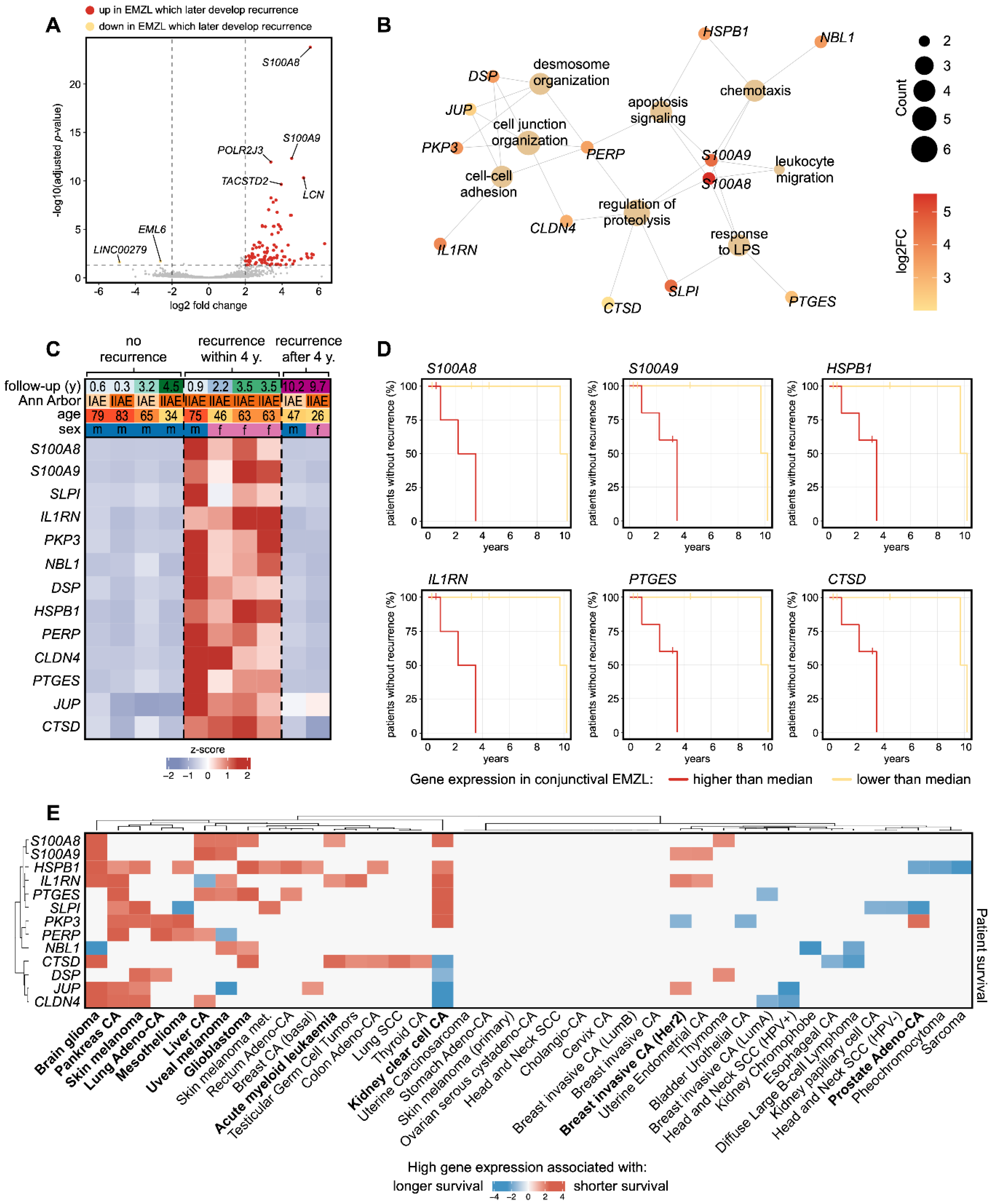Biomolecules 13 00115 g003