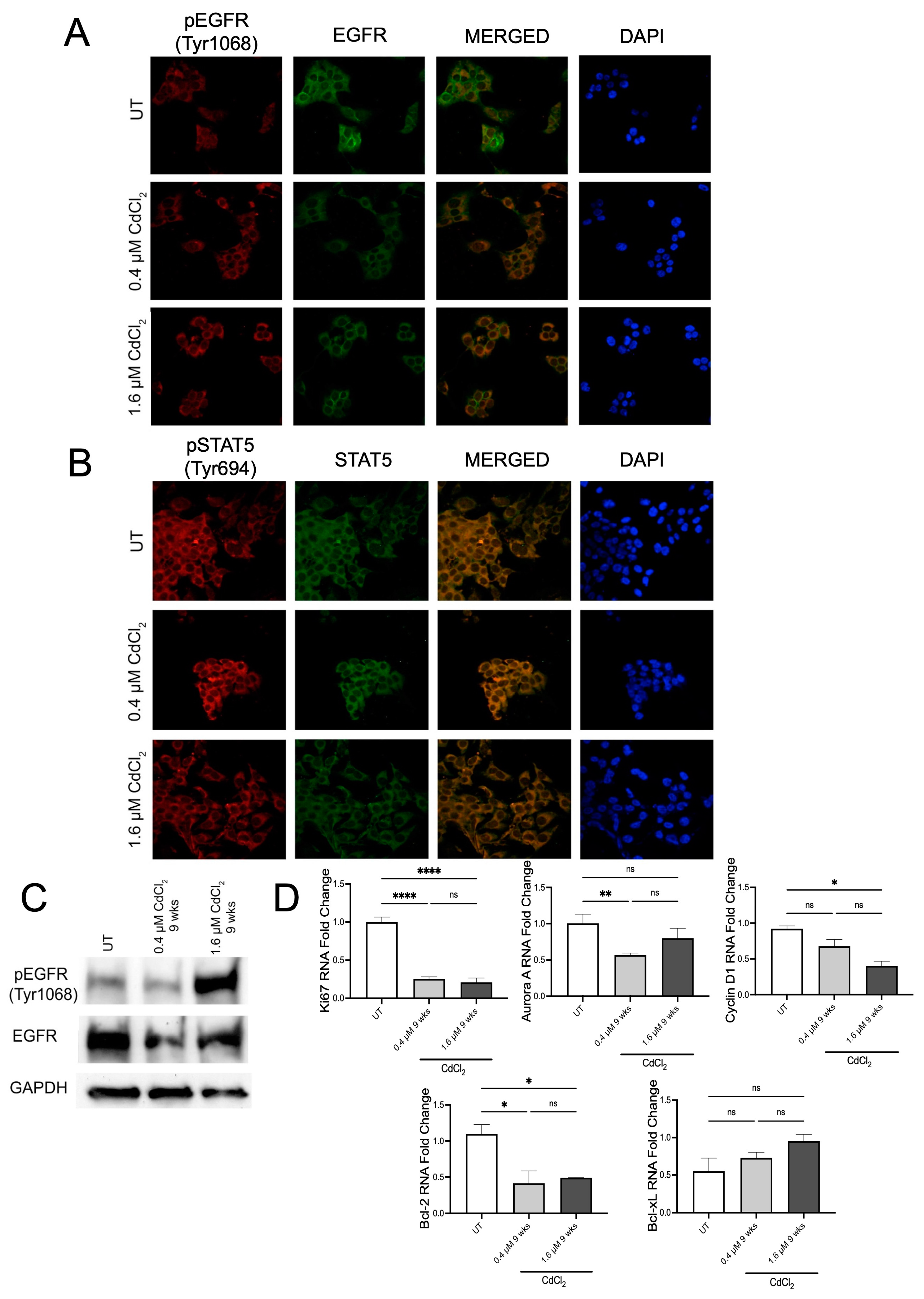 Biomolecules 13 00116 g006