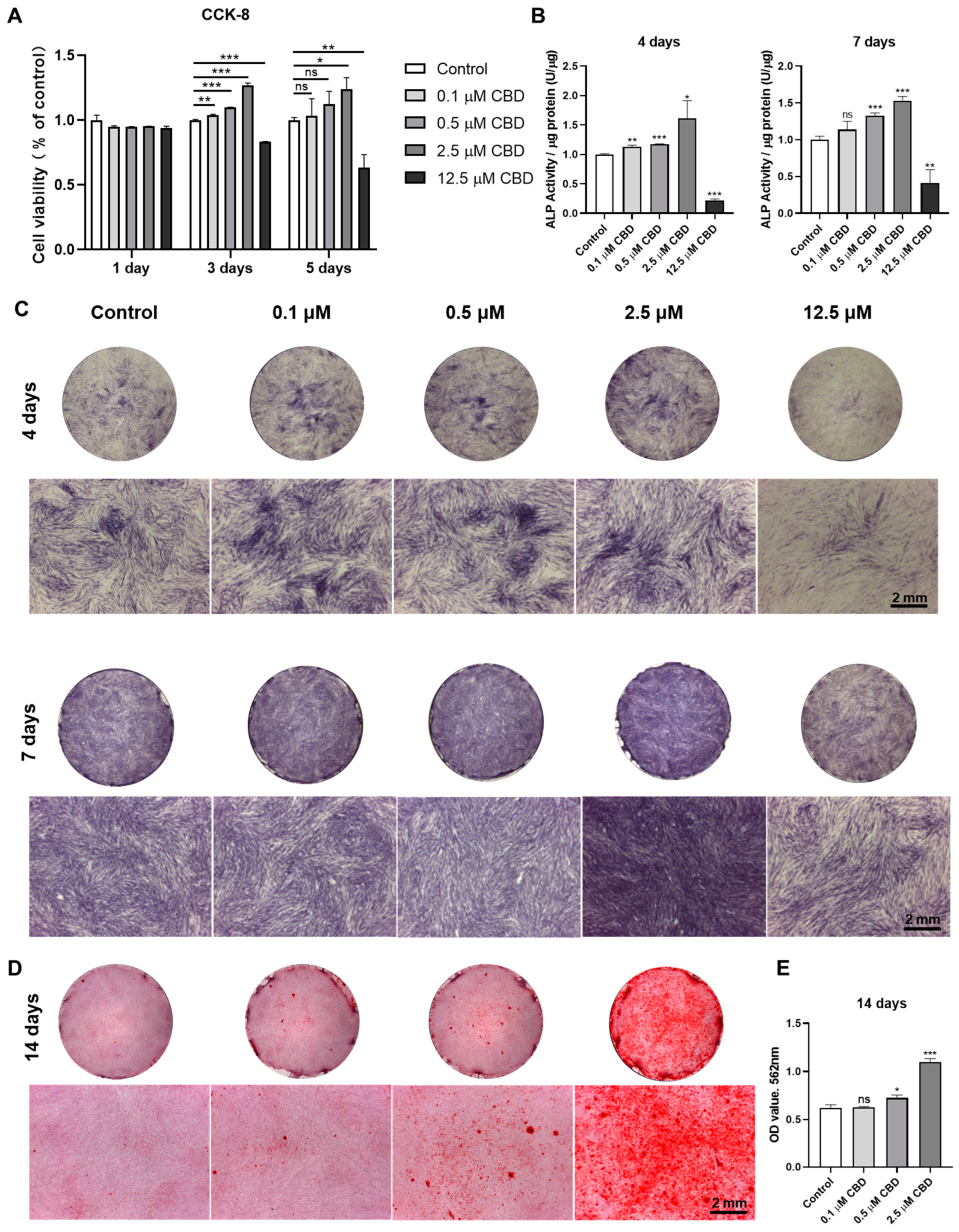 Biomolecules 13 00118 g002