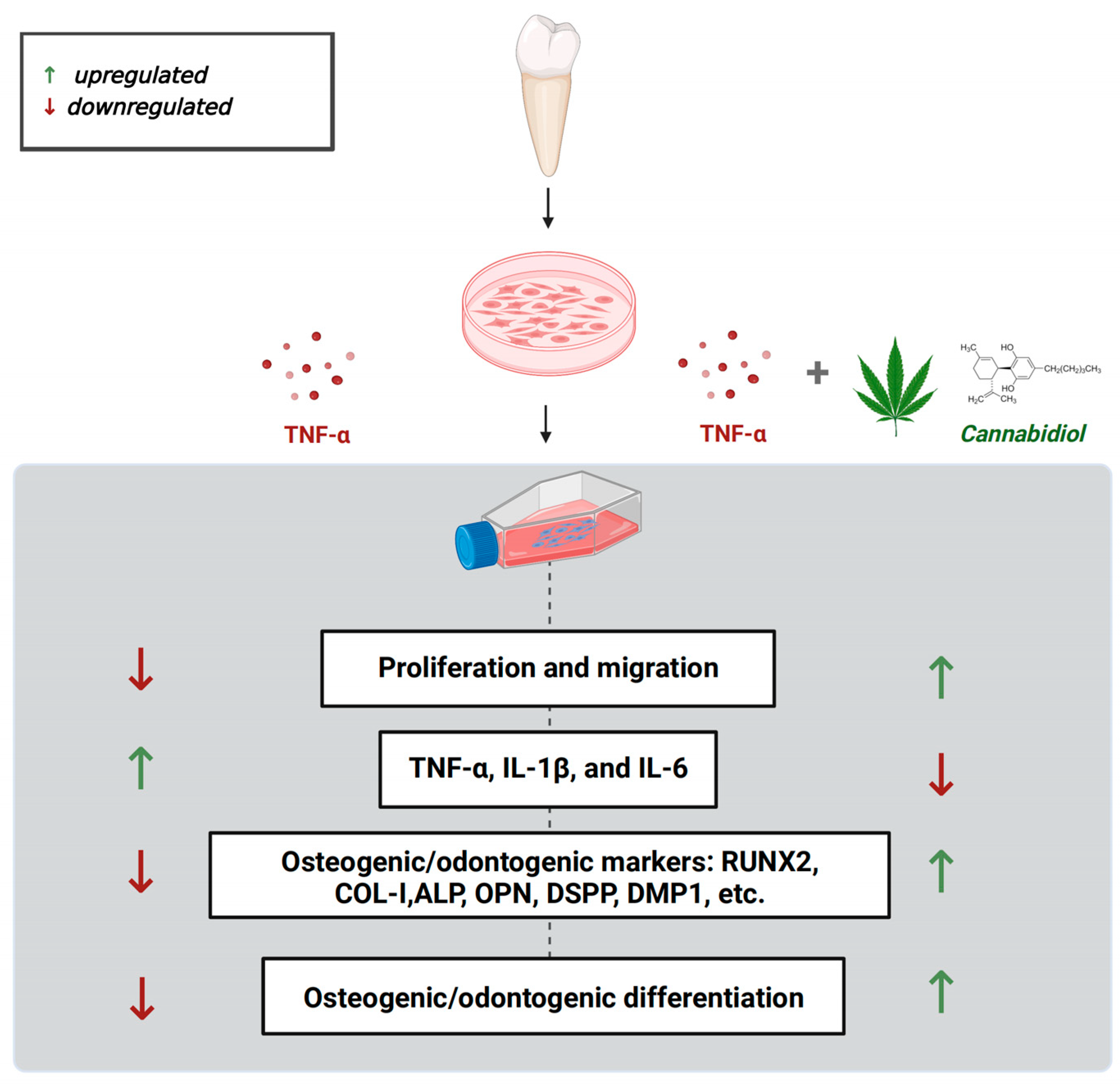 Biomolecules 13 00118 g008