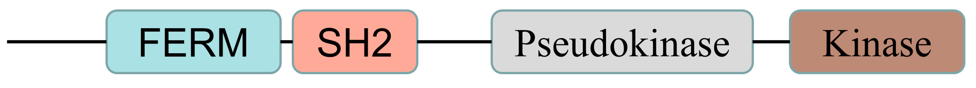 Biomolecules 13 00119 g001