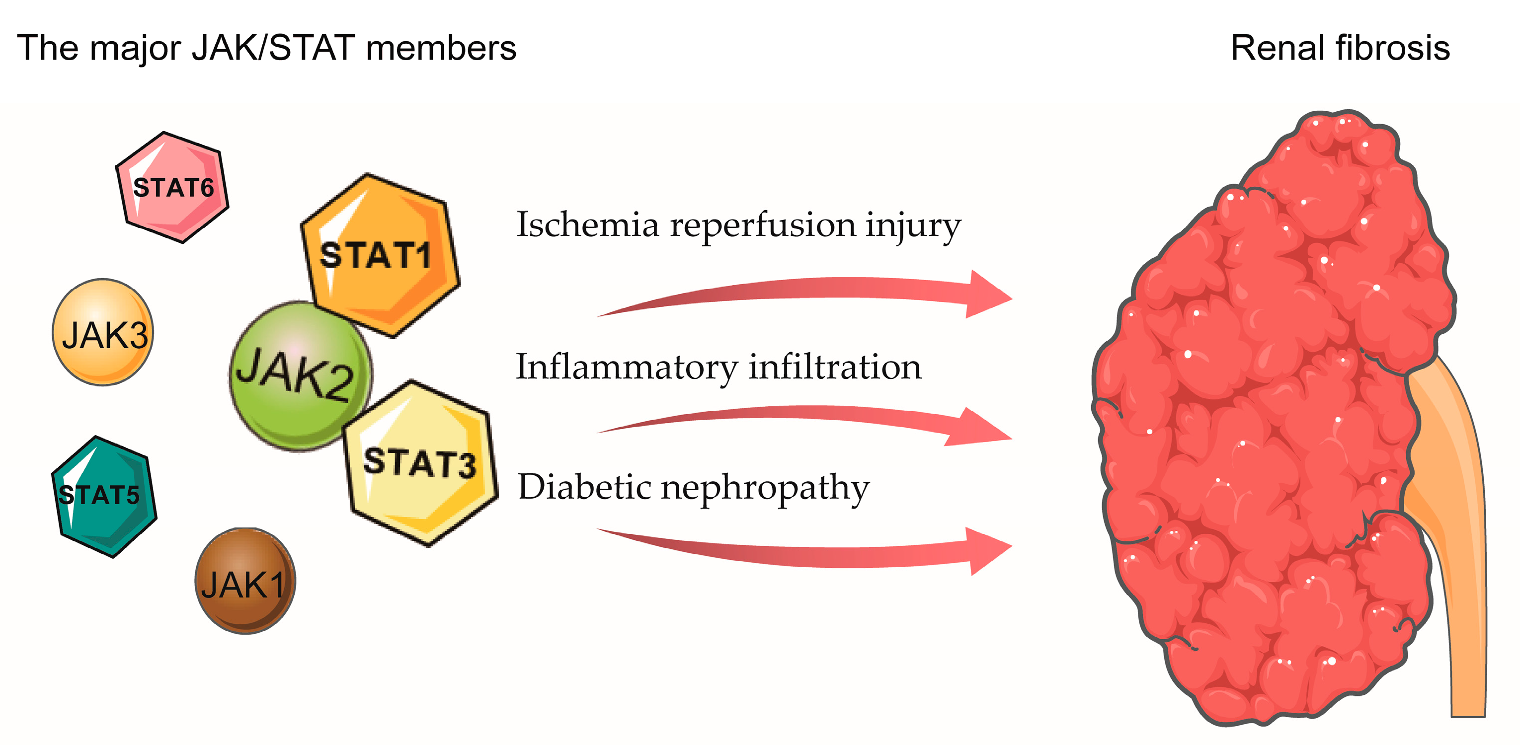 Biomolecules 13 00119 g004
