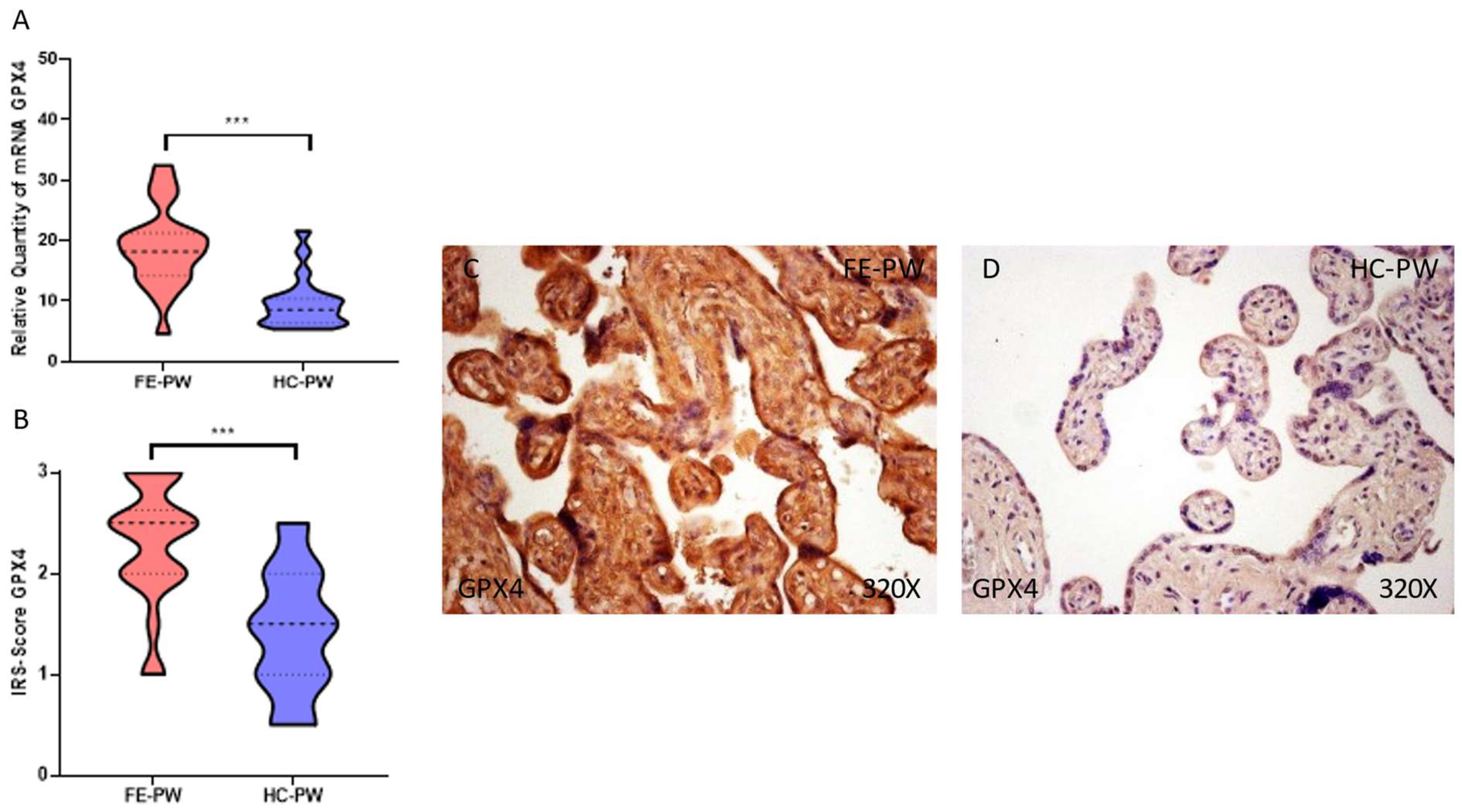 Biomolecules 13 00120 g006