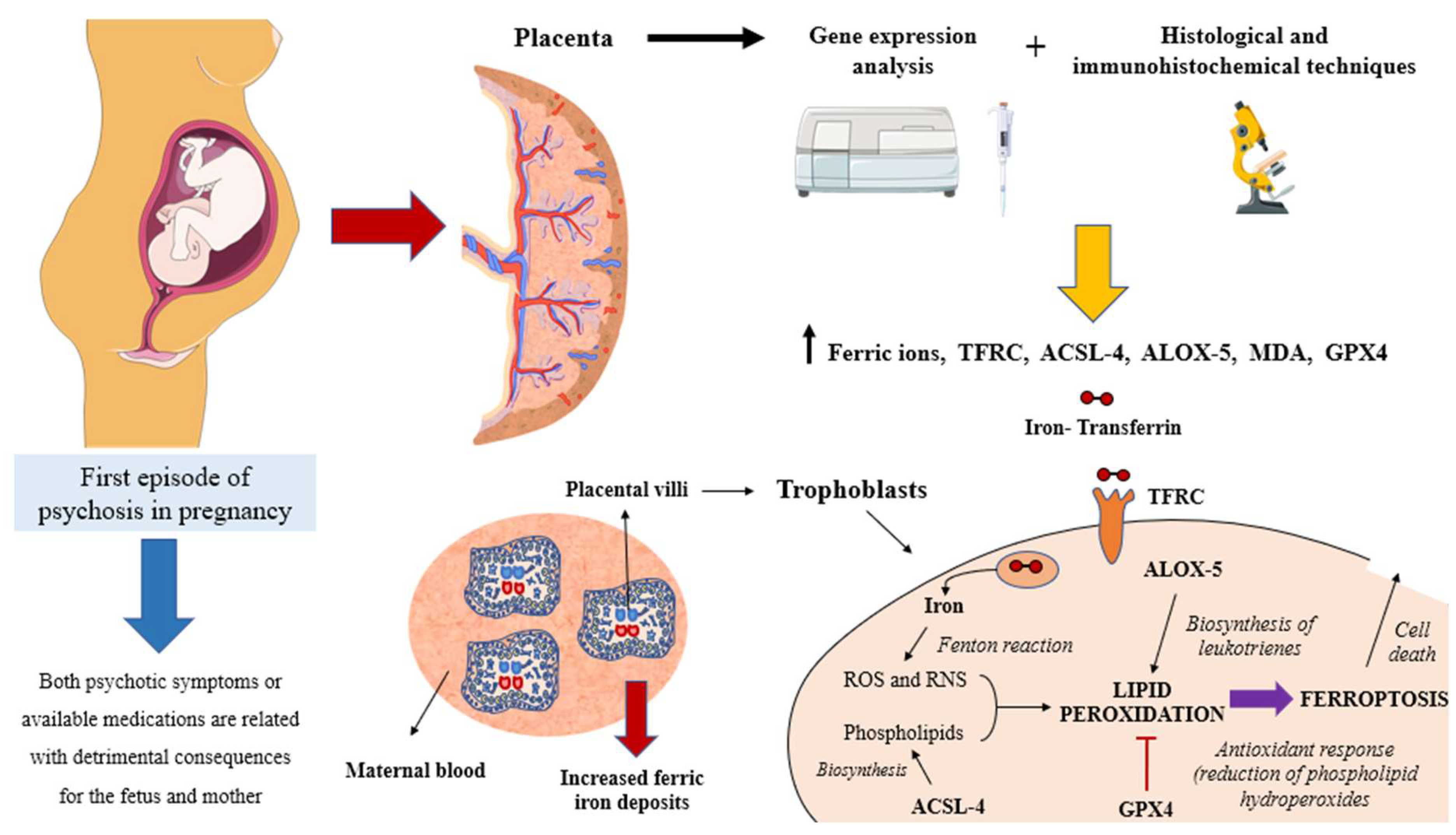 Biomolecules 13 00120 g007