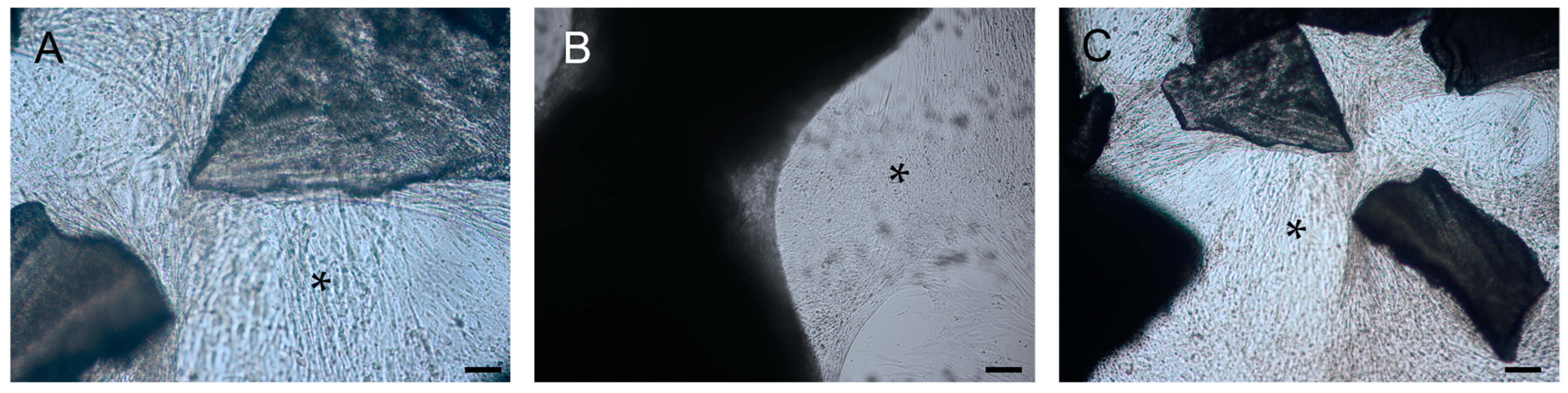 Biomolecules 13 00122 g001