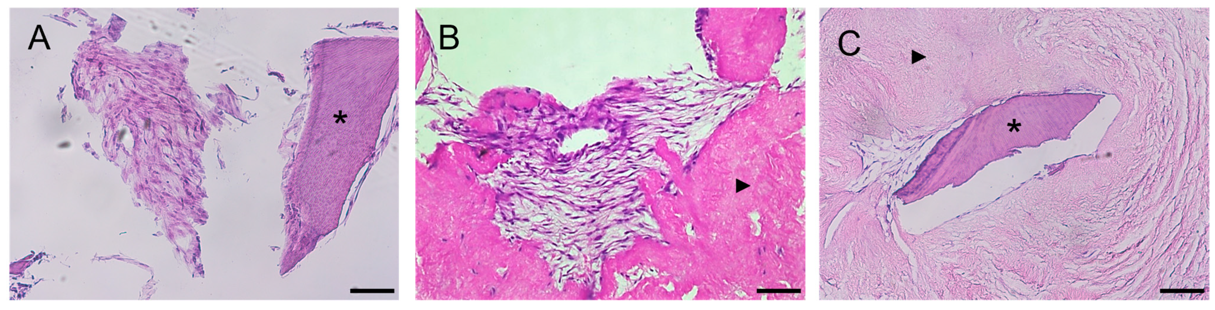Biomolecules 13 00122 g002