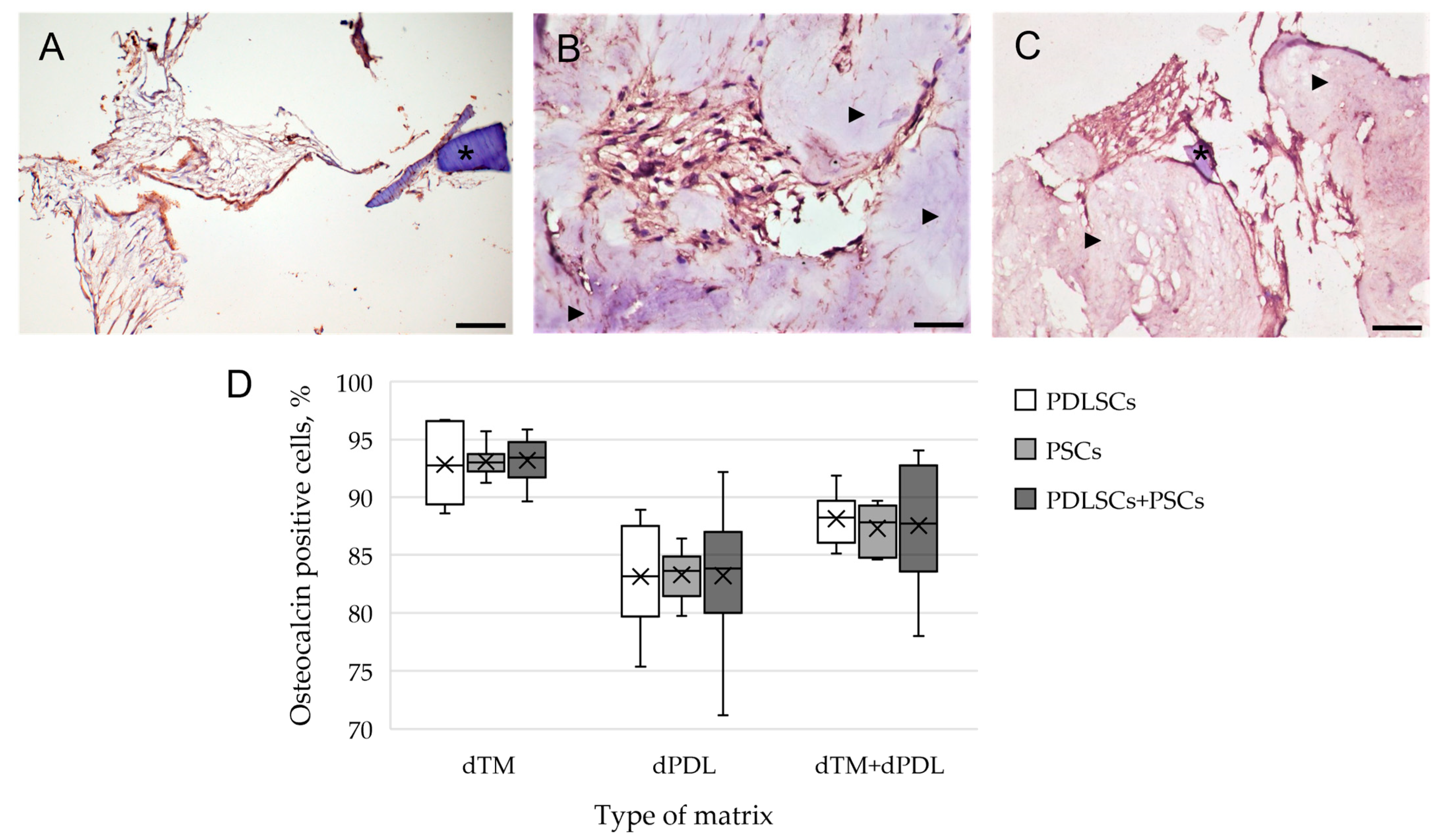 Biomolecules 13 00122 g003