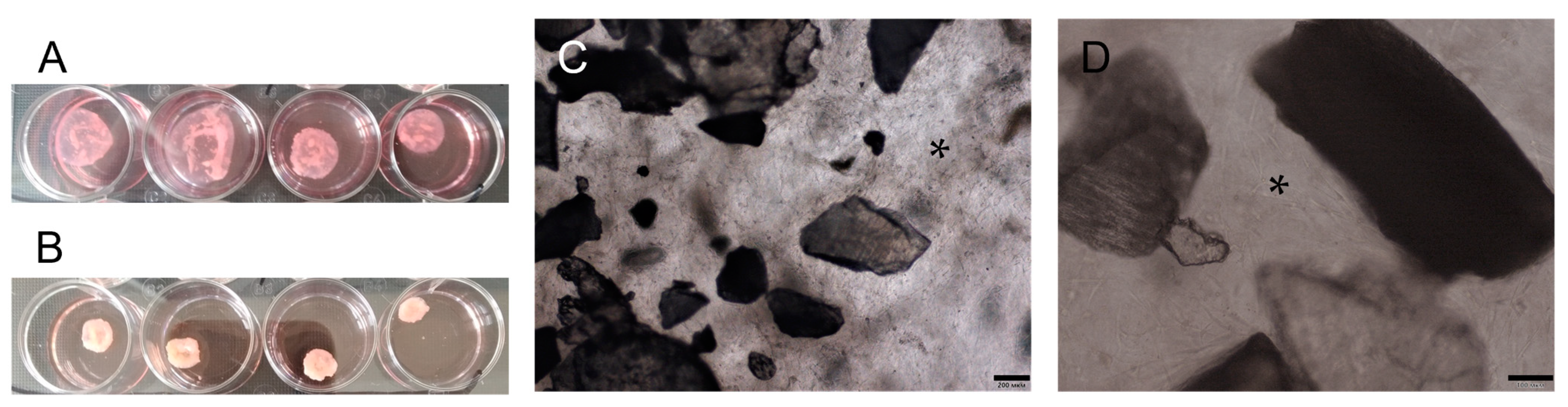 Biomolecules 13 00122 g004