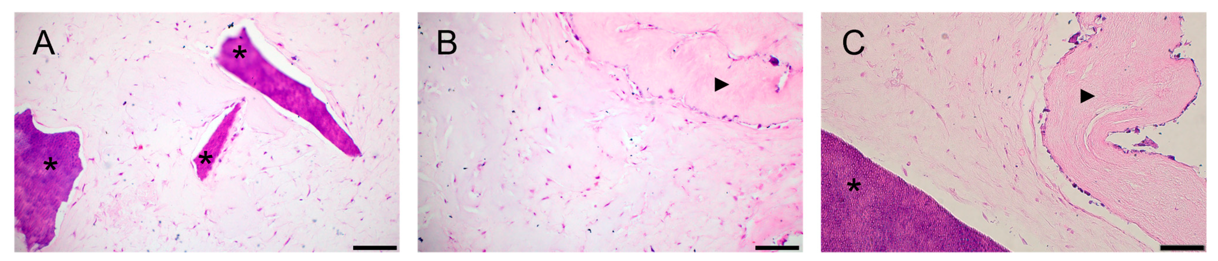 Biomolecules 13 00122 g005