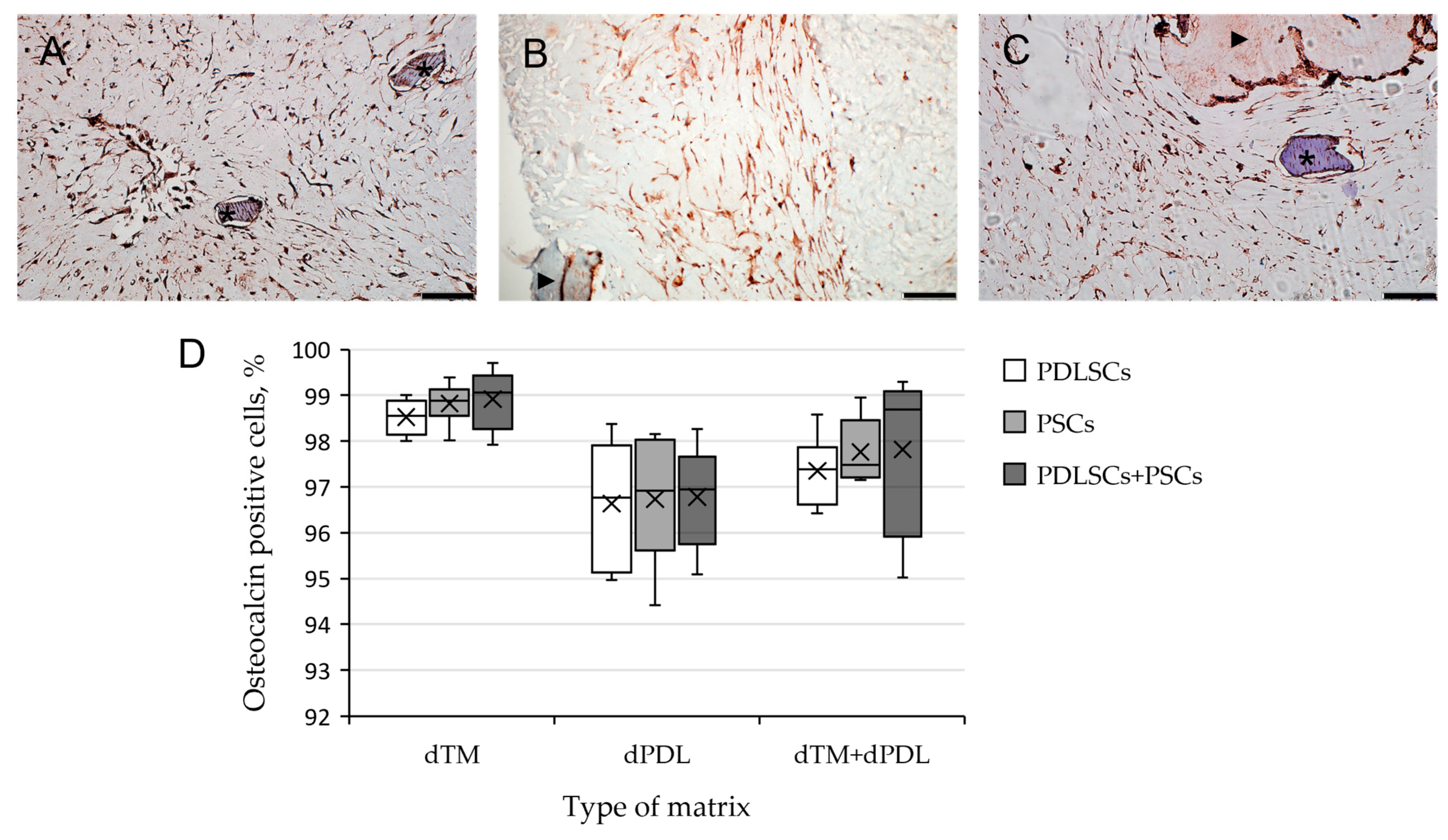 Biomolecules 13 00122 g006