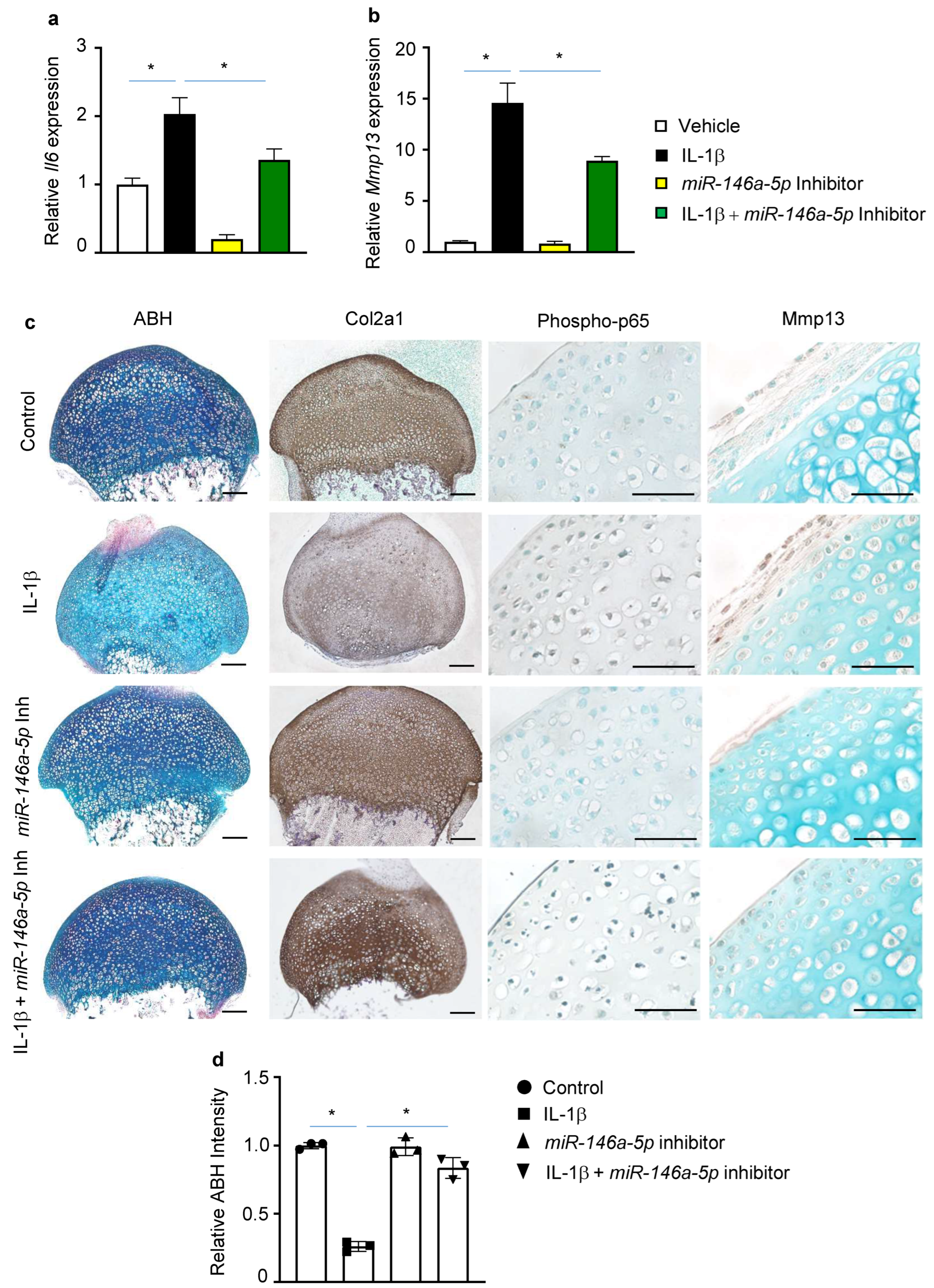 Biomolecules 13 00123 g003