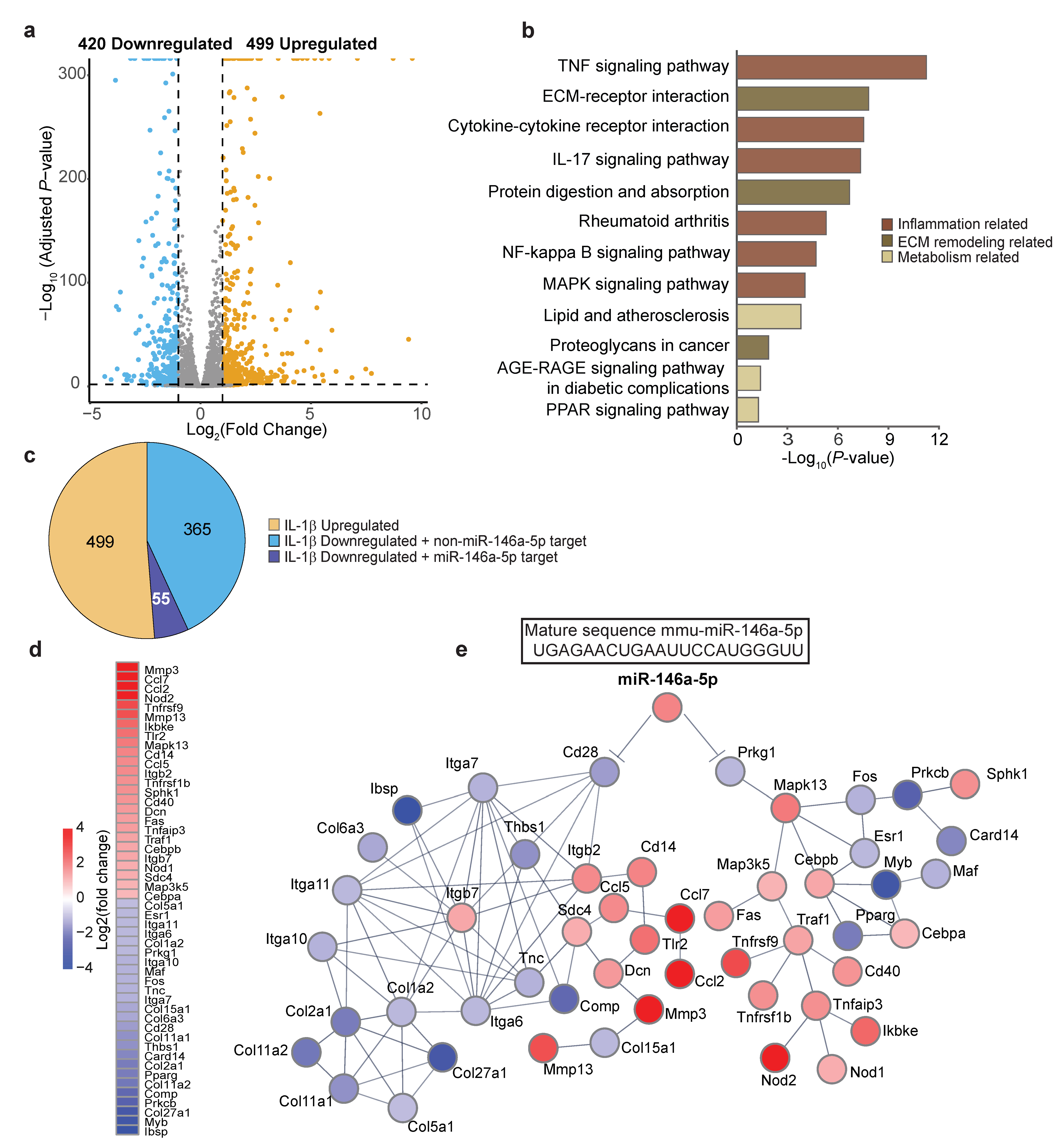 Biomolecules 13 00123 g005