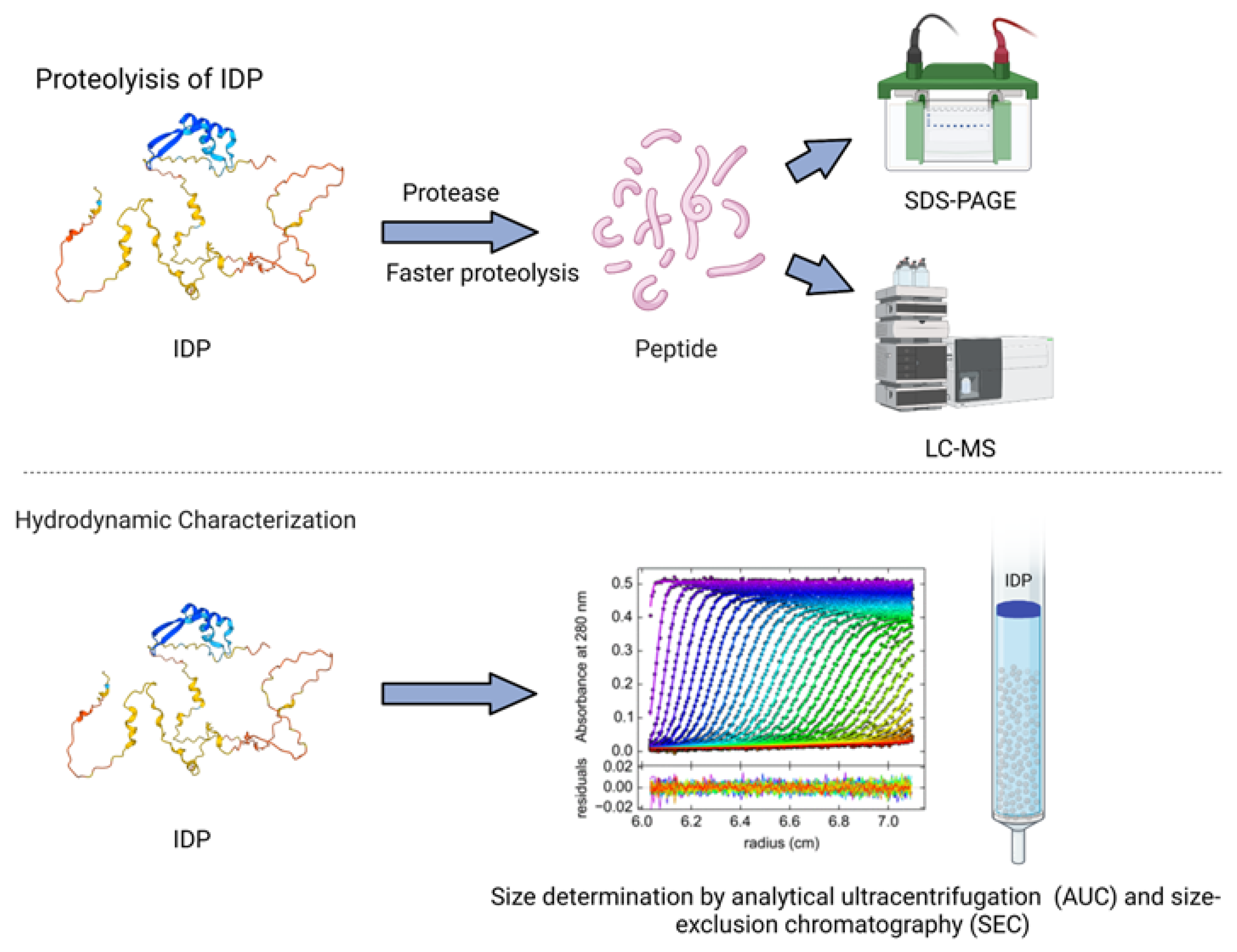 Biomolecules 13 00124 g002