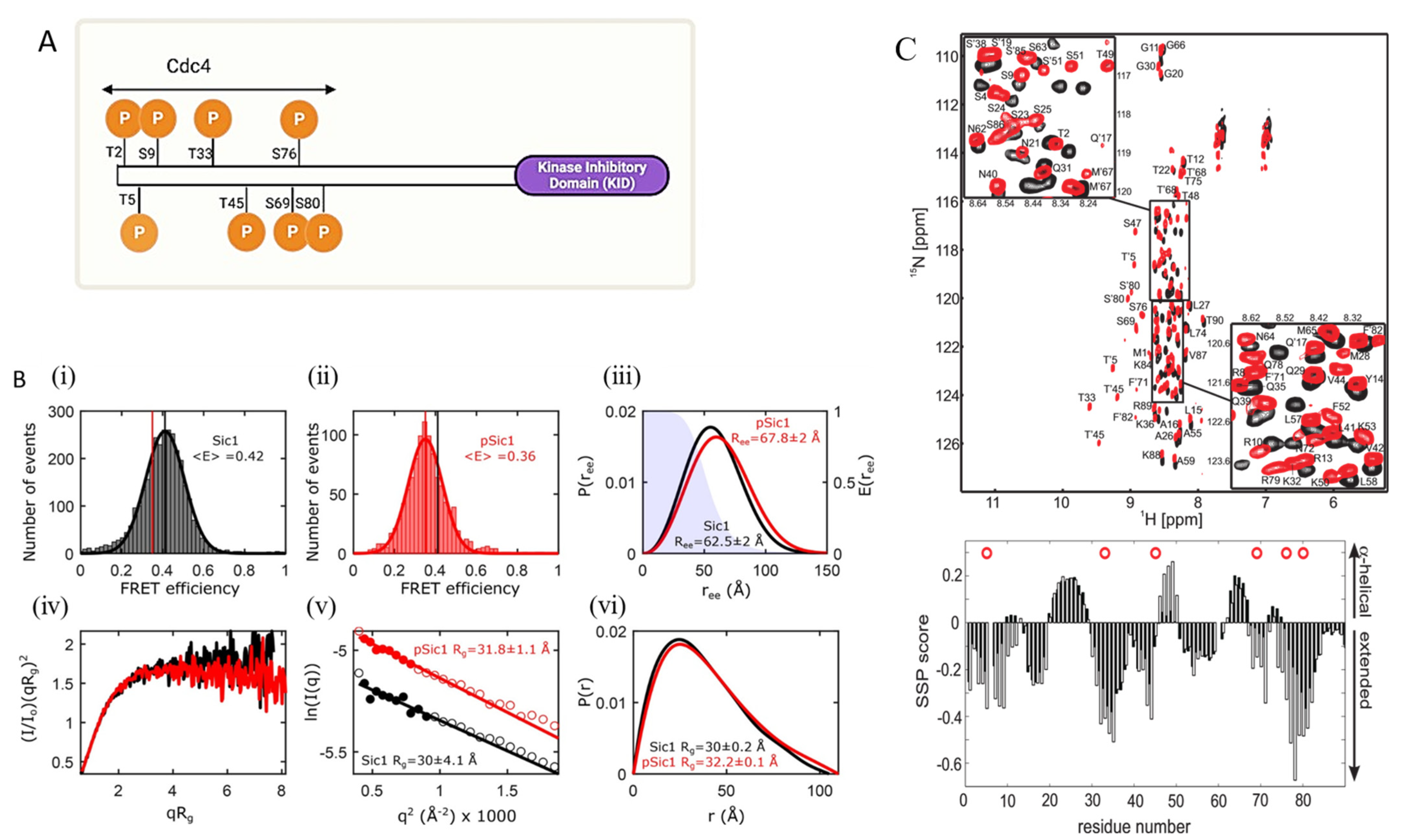 Biomolecules 13 00124 g003
