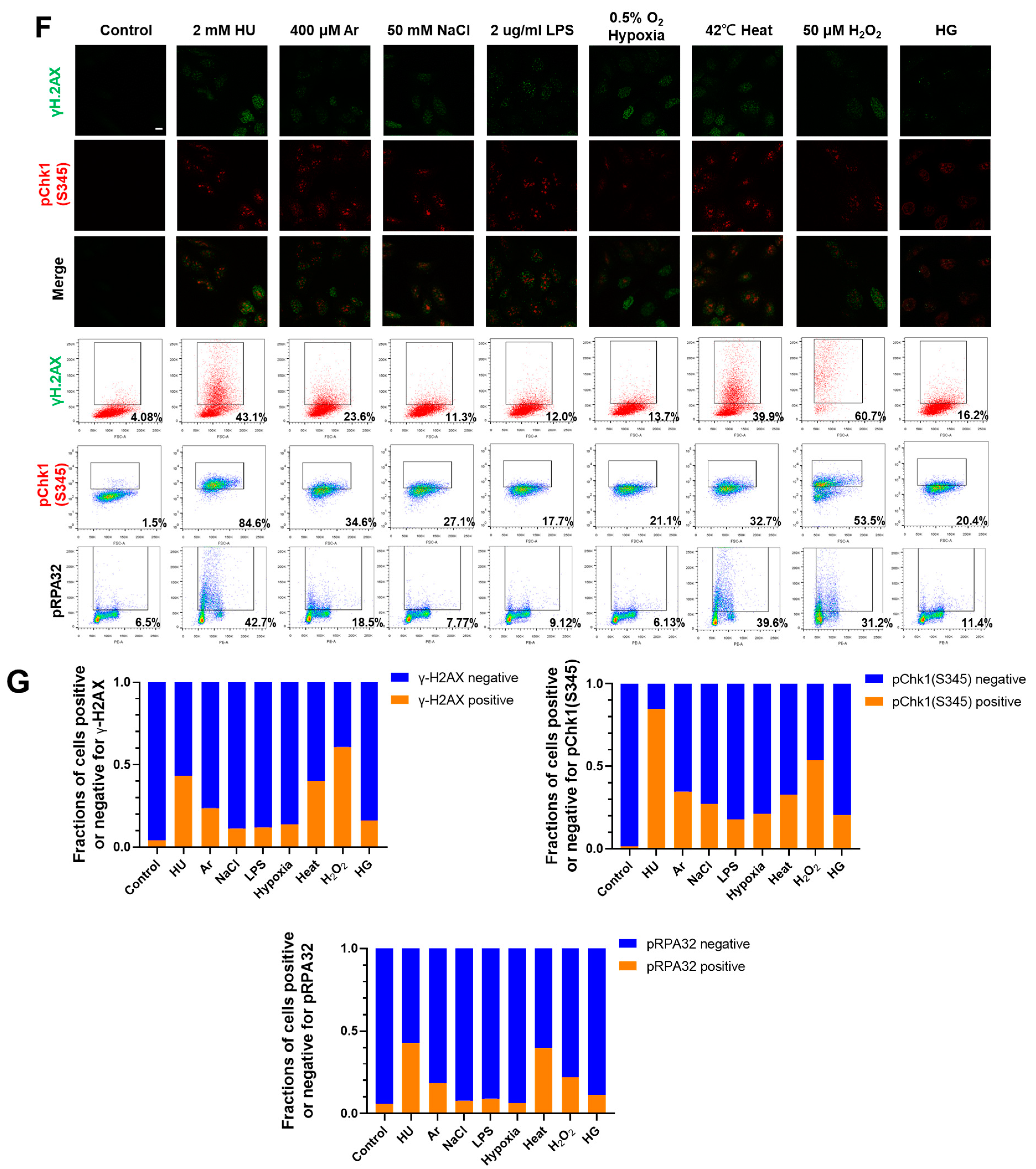Biomolecules 13 00125 g001c