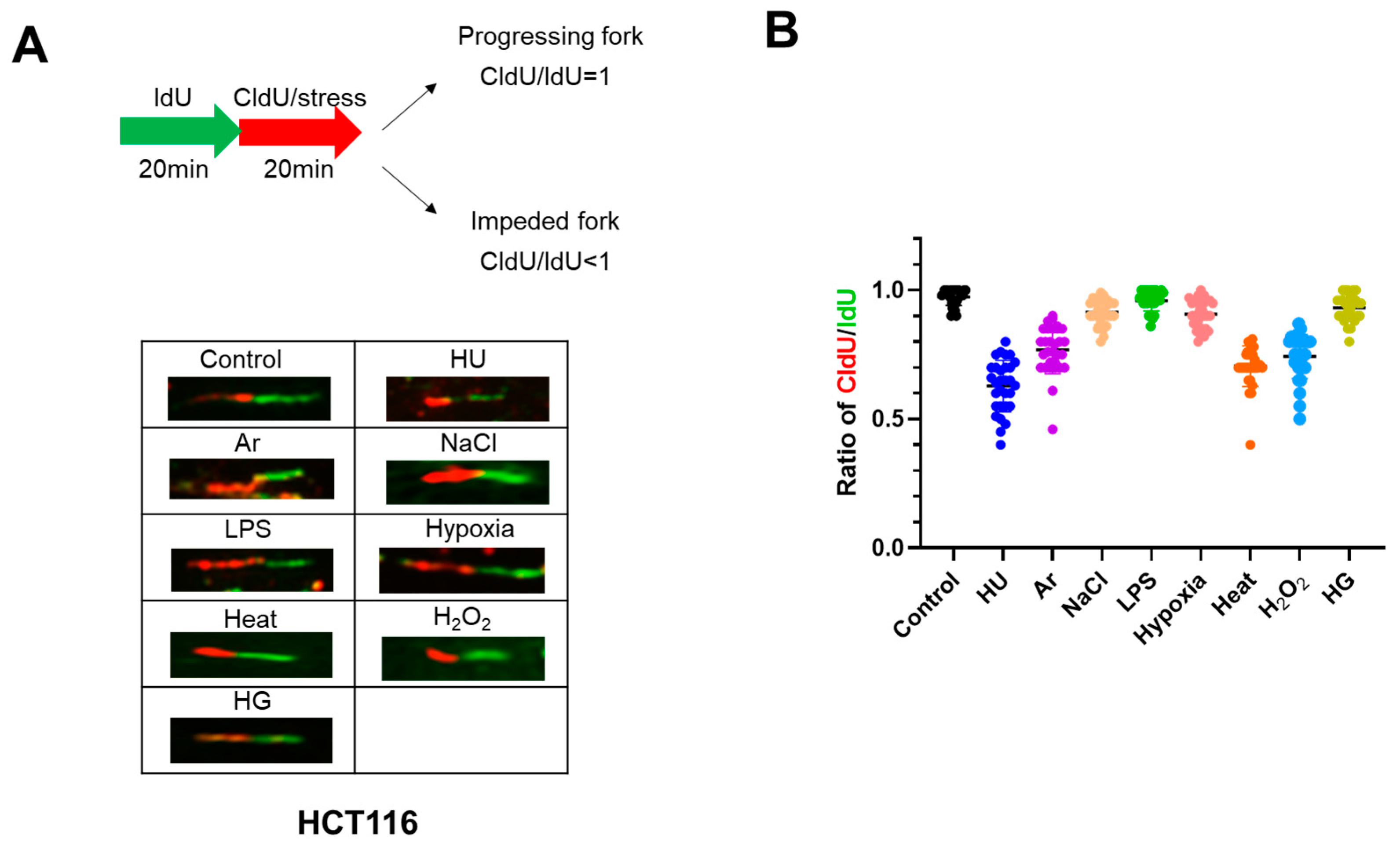 Biomolecules 13 00125 g003