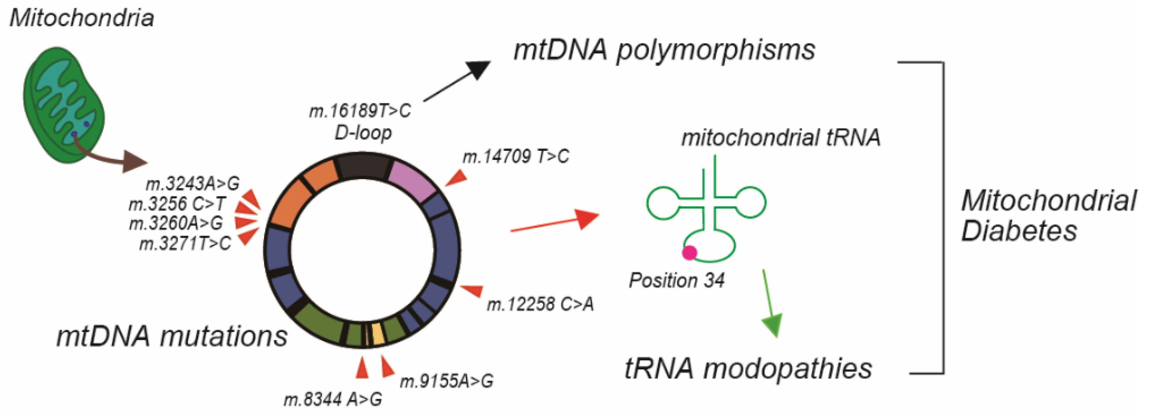 Biomolecules 13 00126 g002