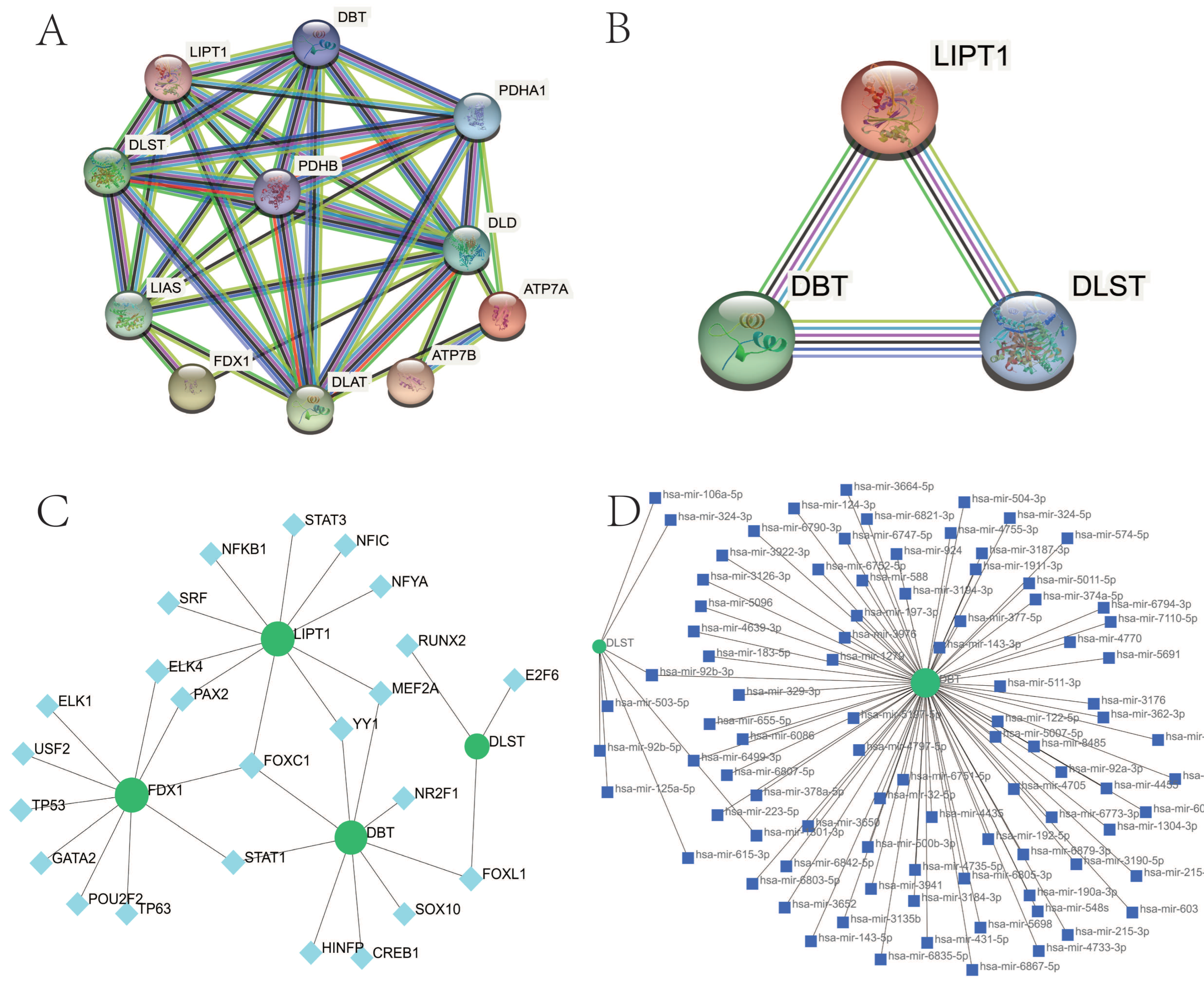 Biomolecules 13 00127 g005 Biomolecules 13 00127 g005