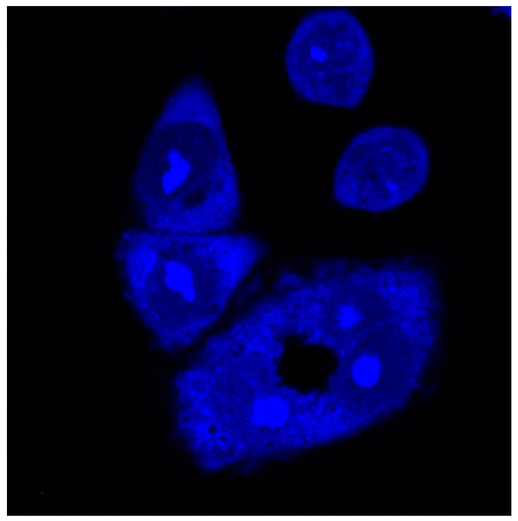 Biomolecules 13 00128 g009