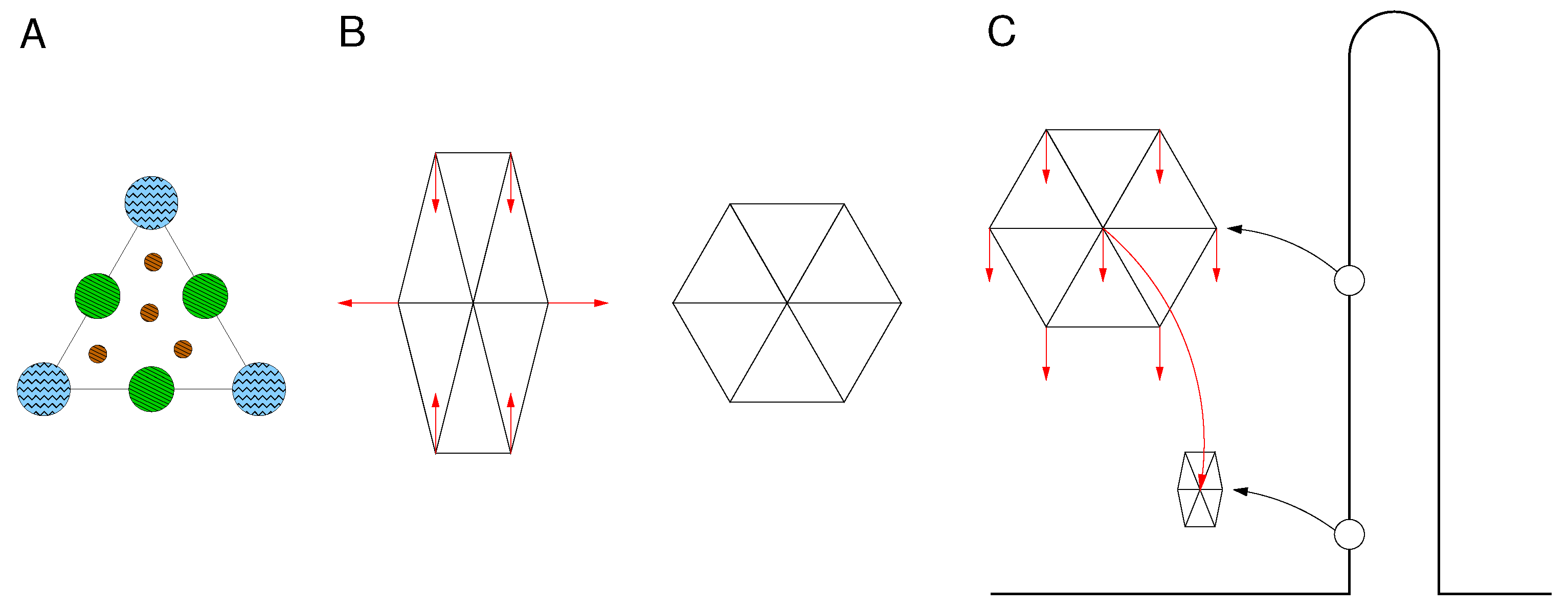 Biomolecules 13 00130 g002