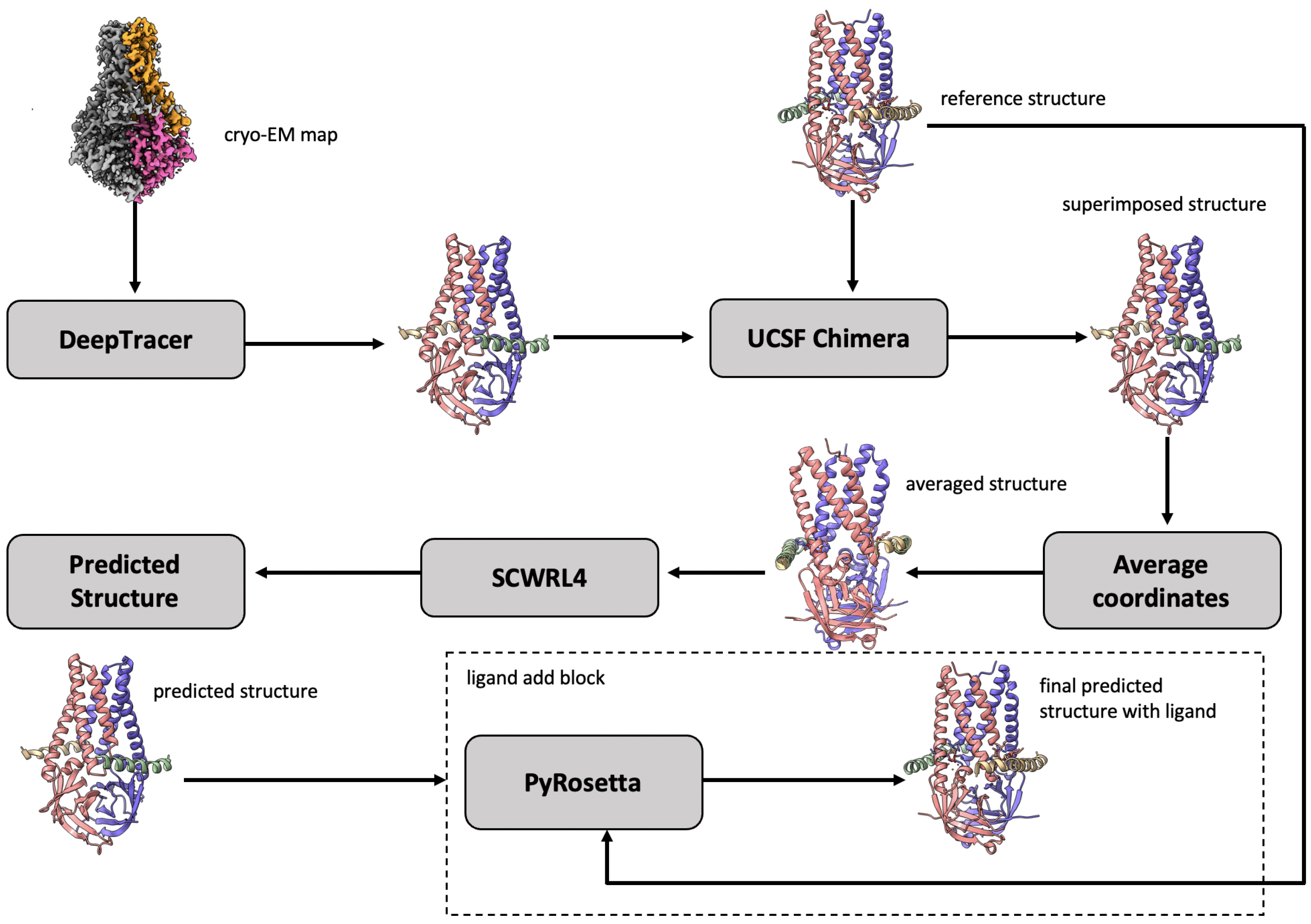 Biomolecules 13 00132 g002