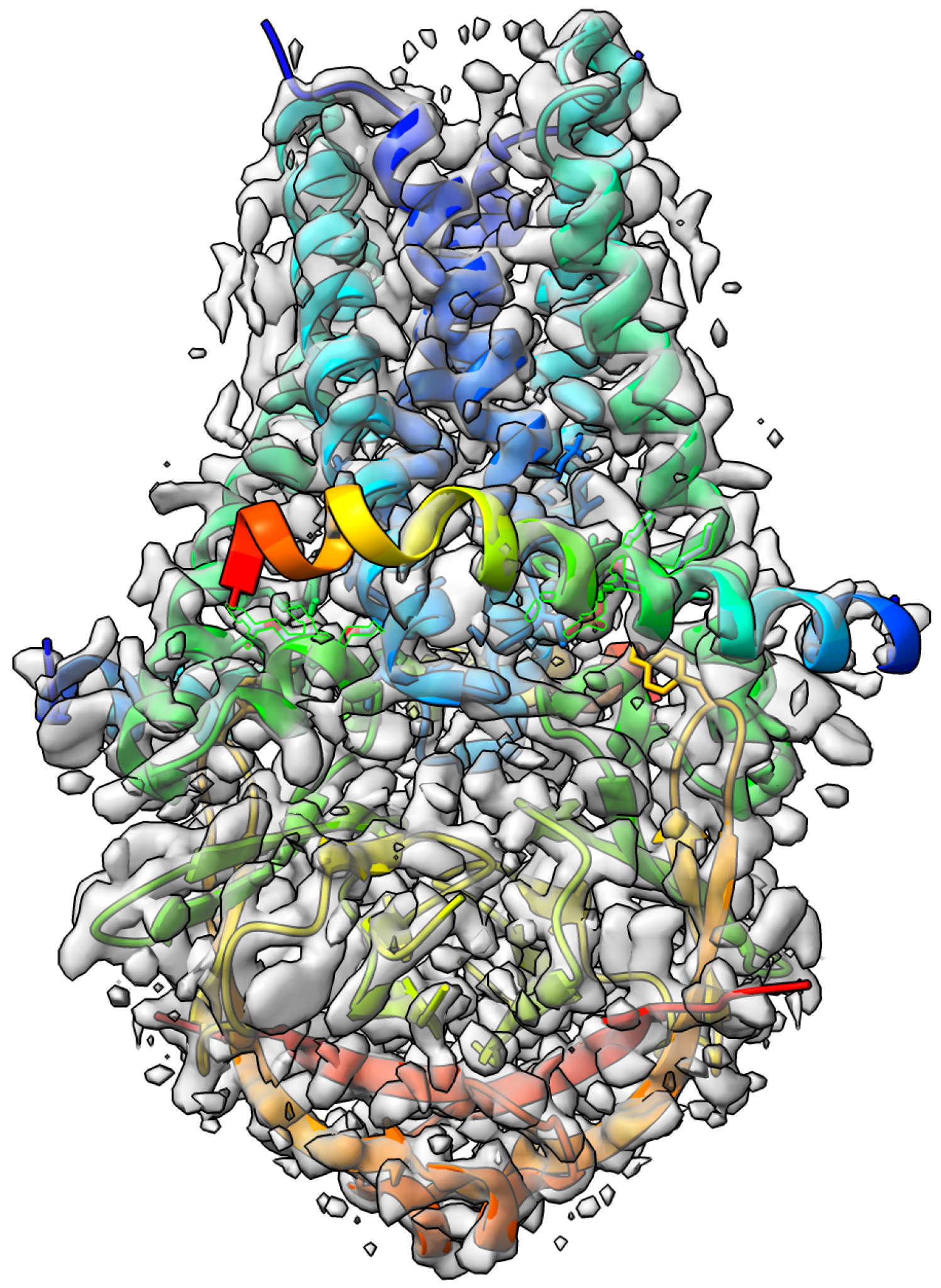 Biomolecules 13 00132 g005
