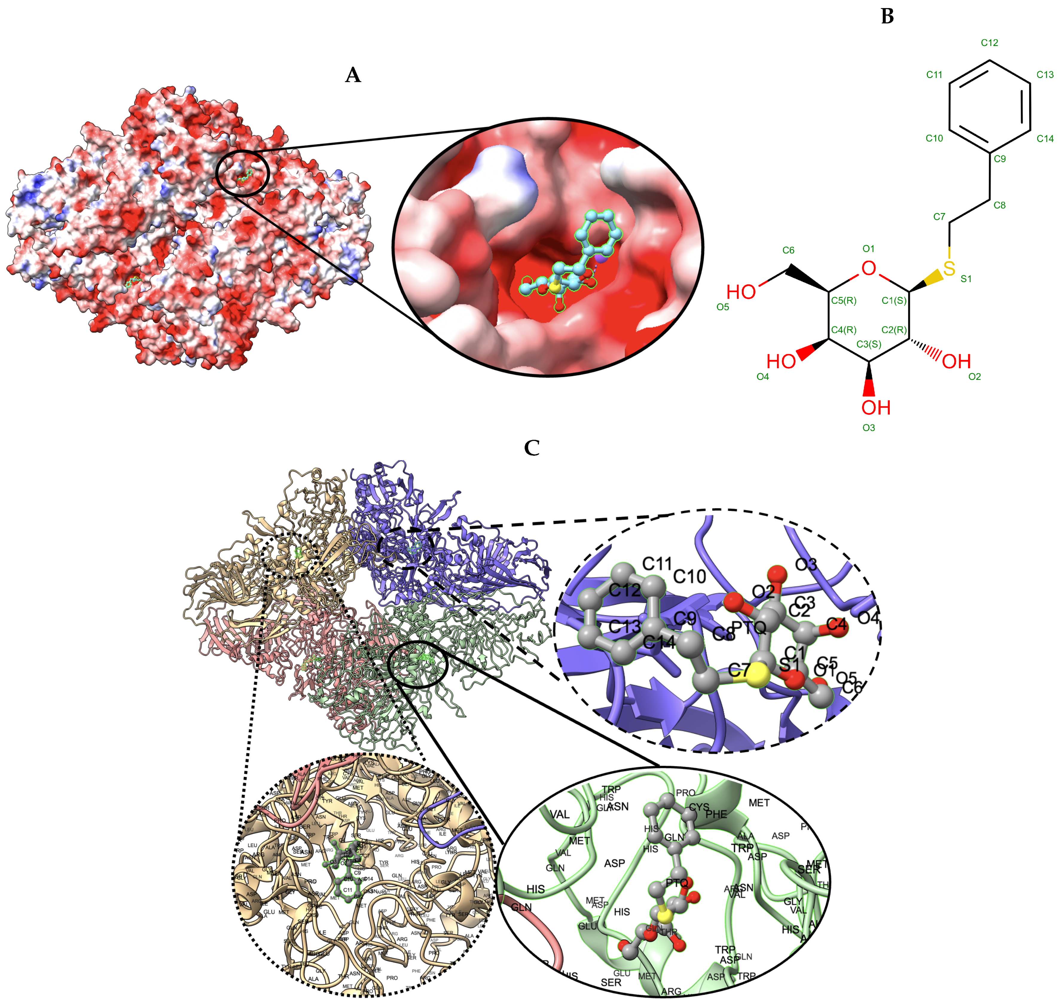 Biomolecules 13 00132 g006