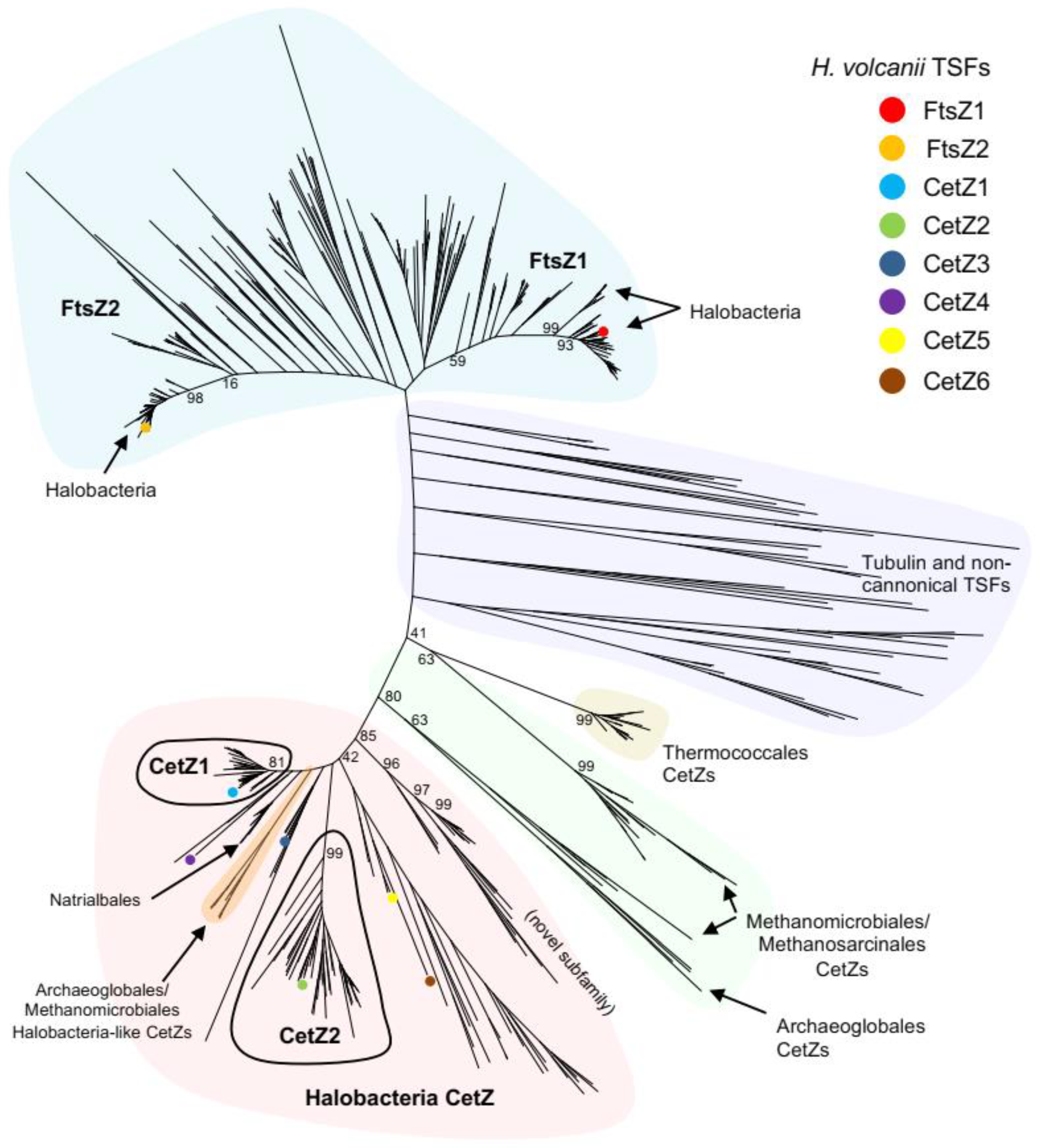 Biomolecules 13 00134 g001