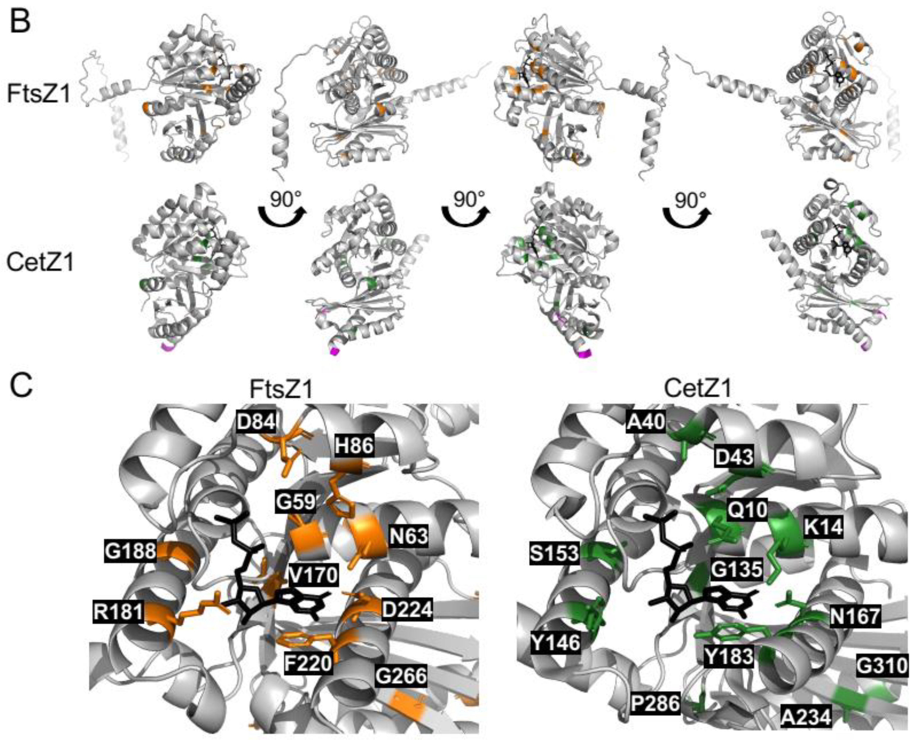 Biomolecules 13 00134 g002b