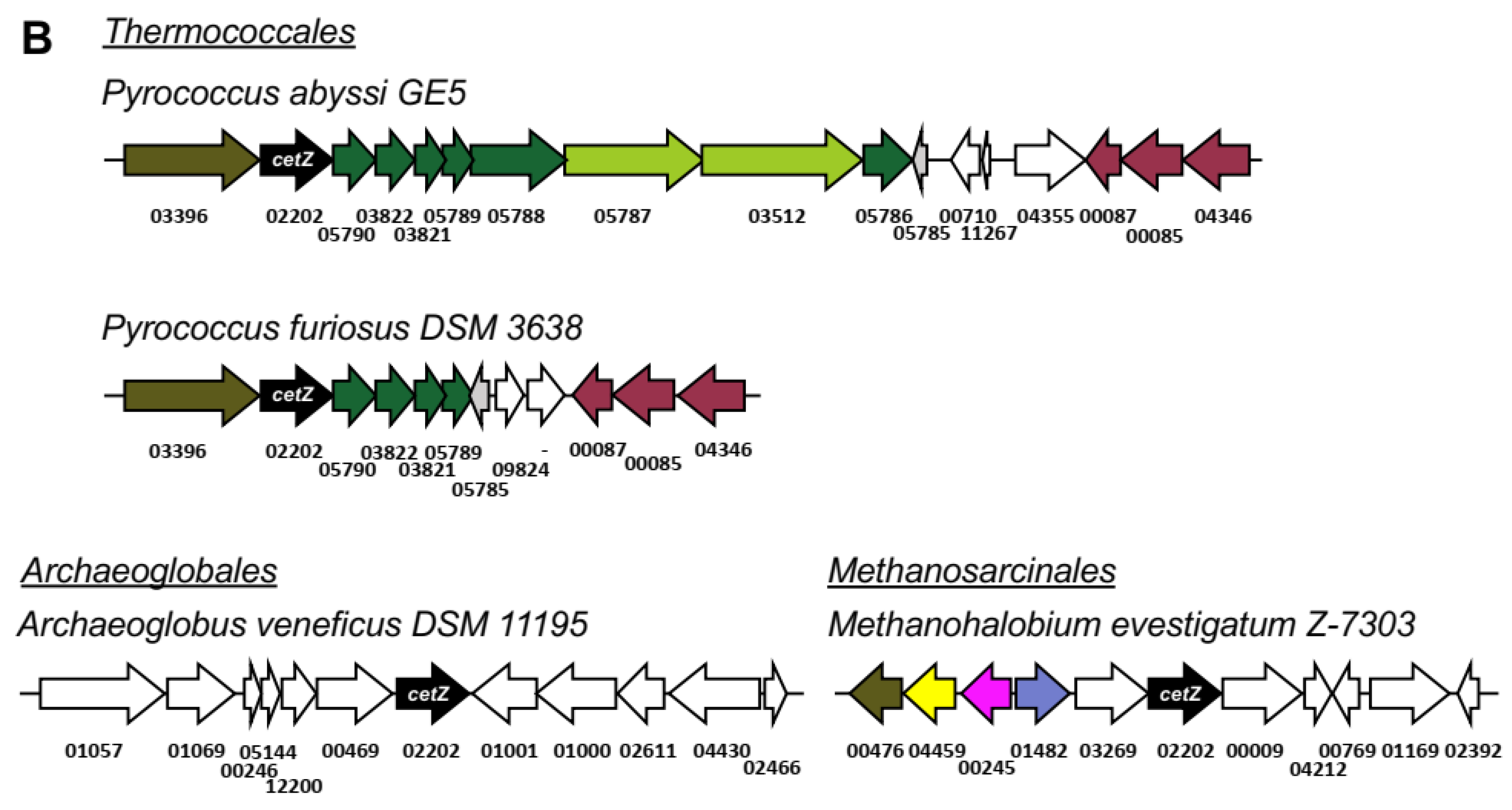Biomolecules 13 00134 g008b