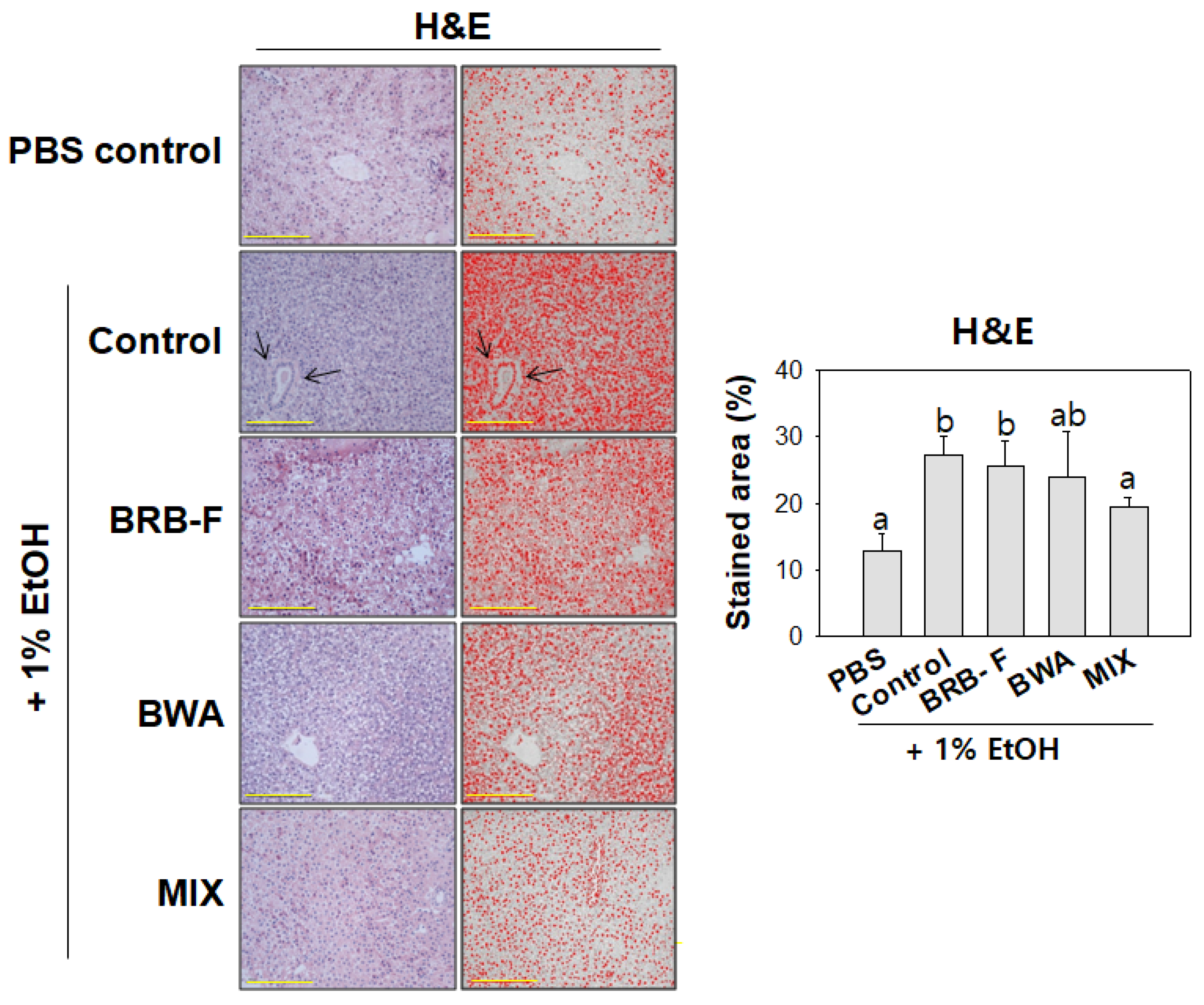 Biomolecules 13 00136 g003