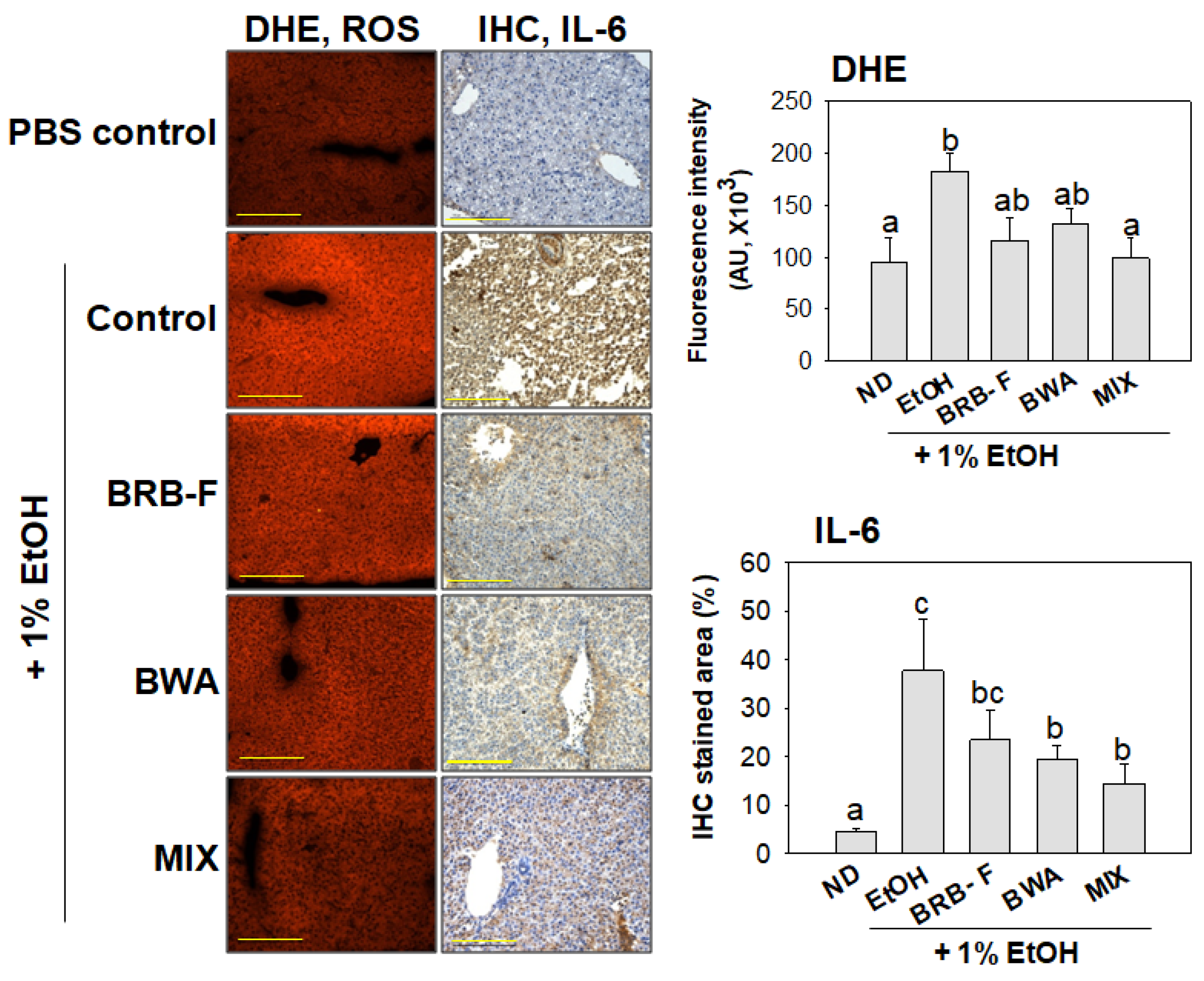 Biomolecules 13 00136 g004