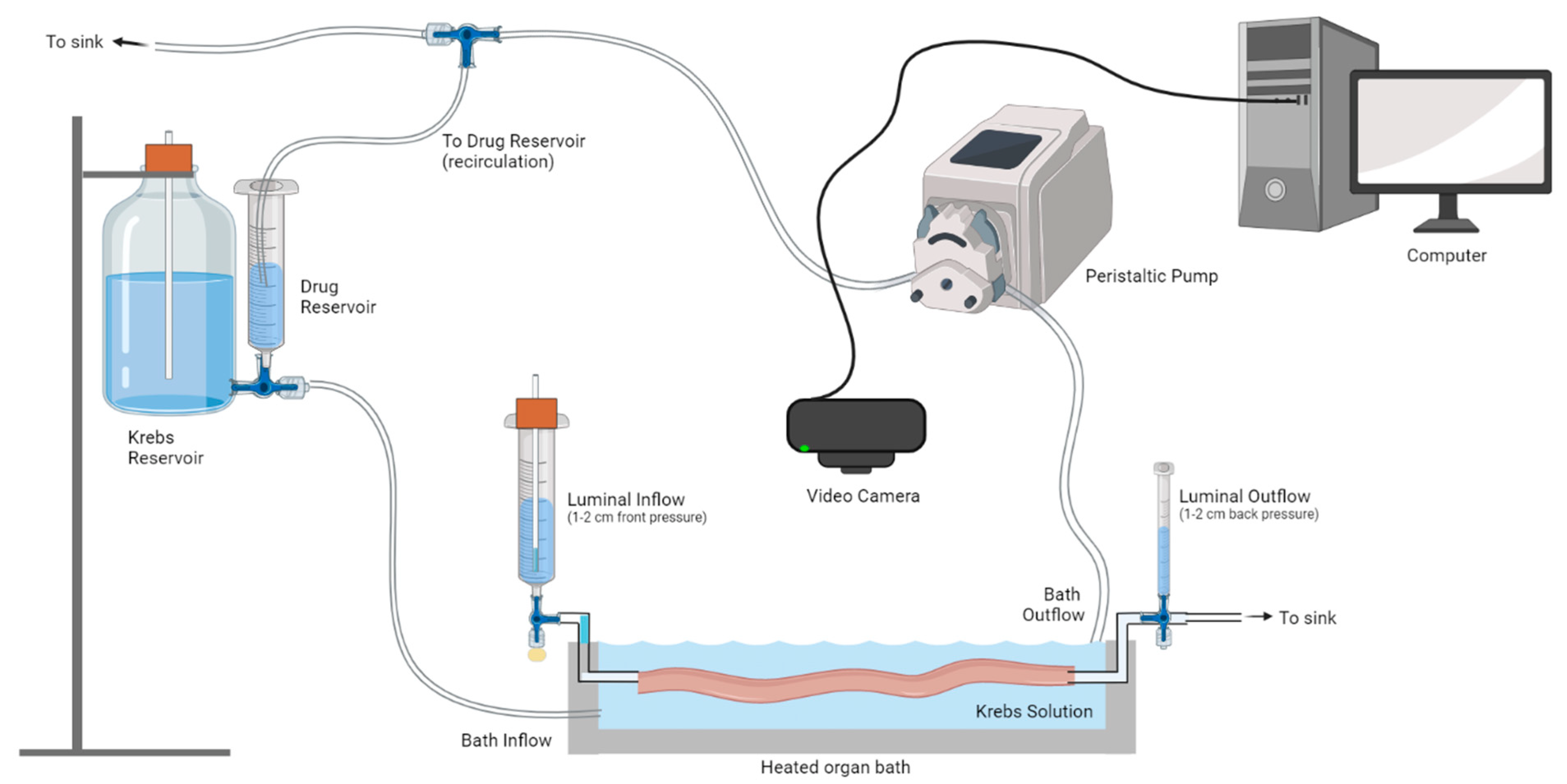 Biomolecules 13 00139 g001
