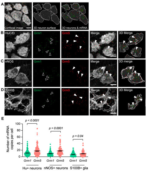 Biomolecules 13 00139 g002