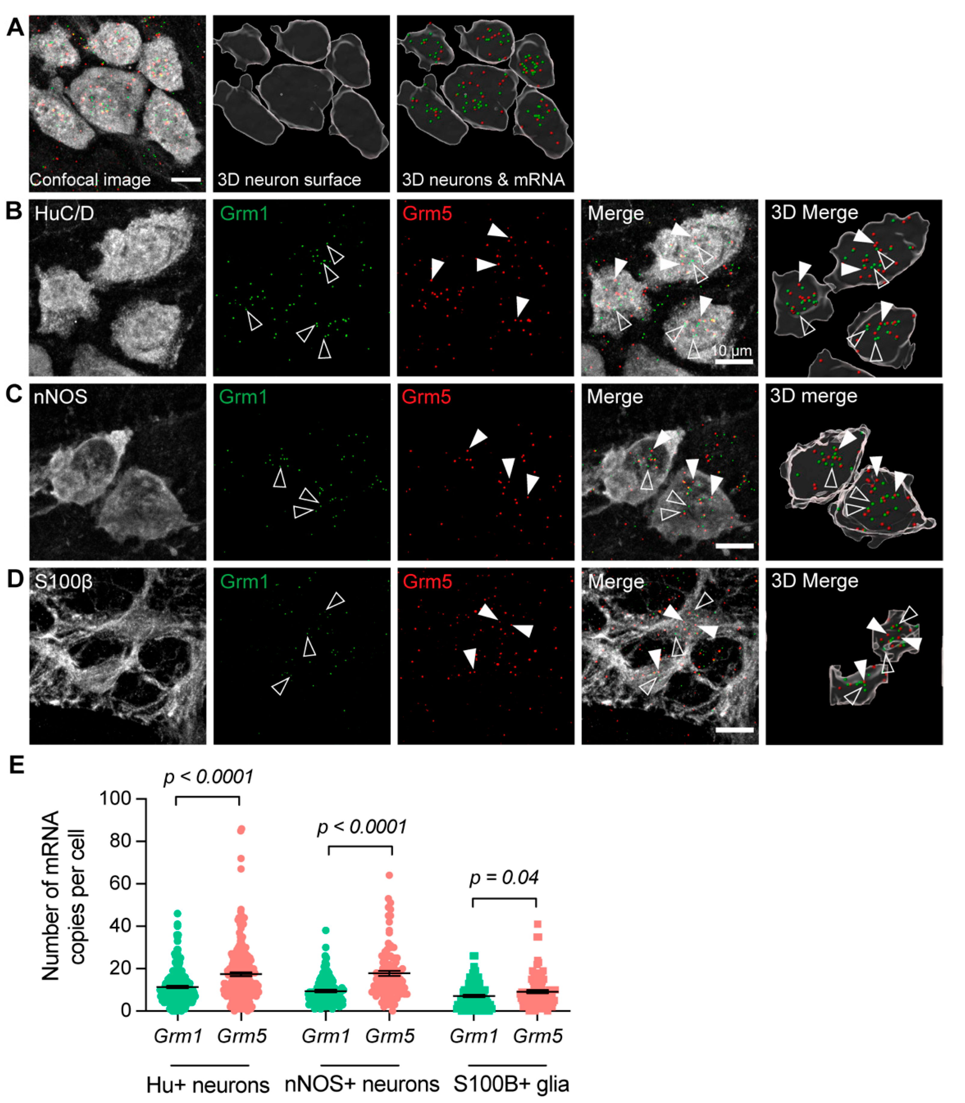 Biomolecules 13 00139 g002