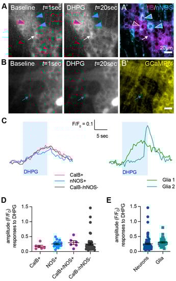 Biomolecules 13 00139 g003