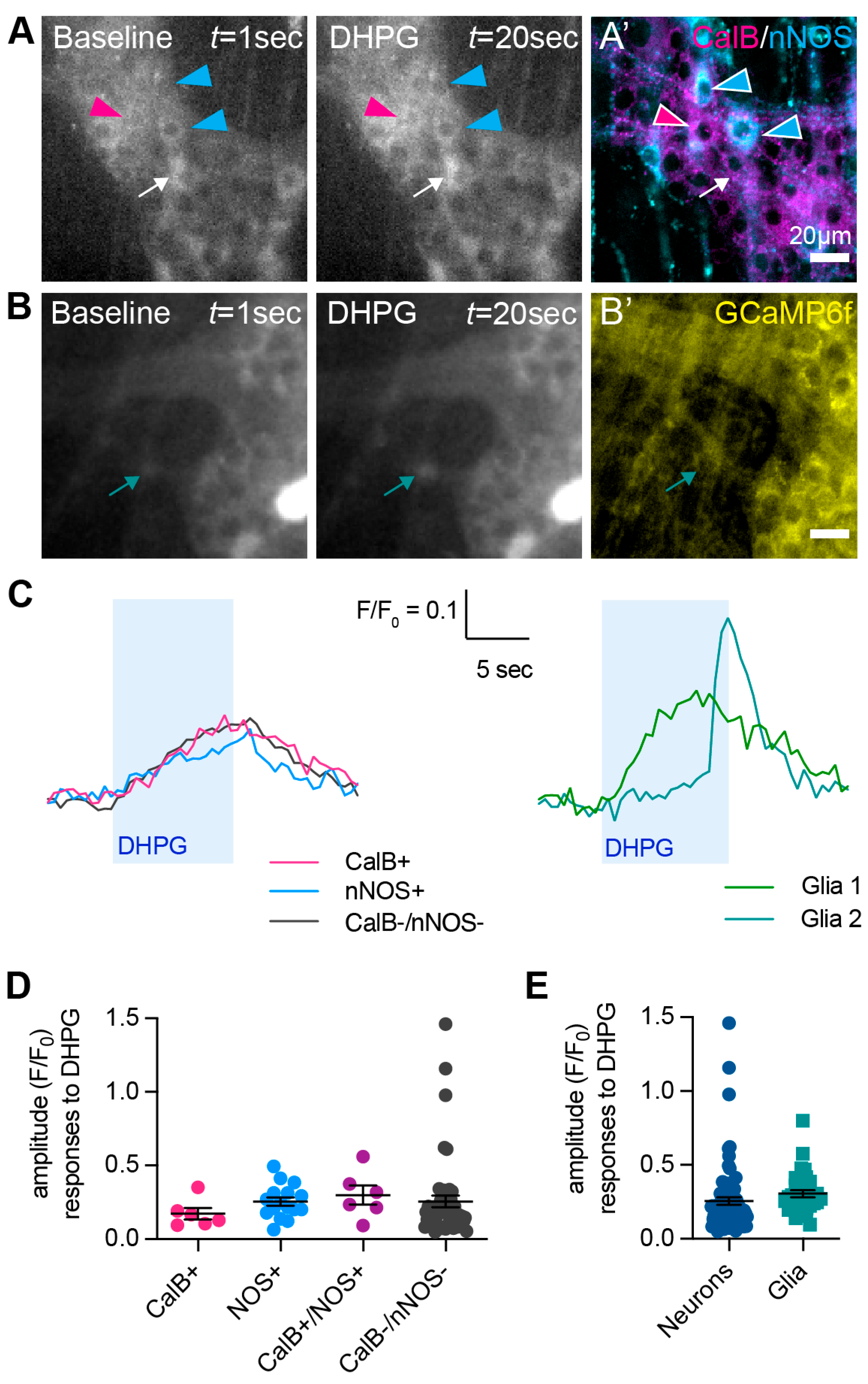 Biomolecules 13 00139 g003