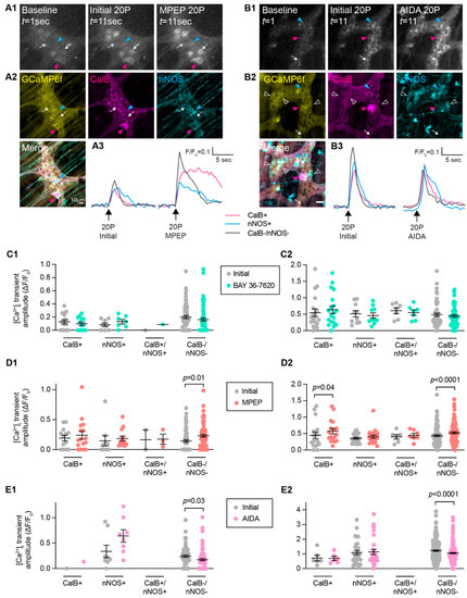 Biomolecules 13 00139 g005