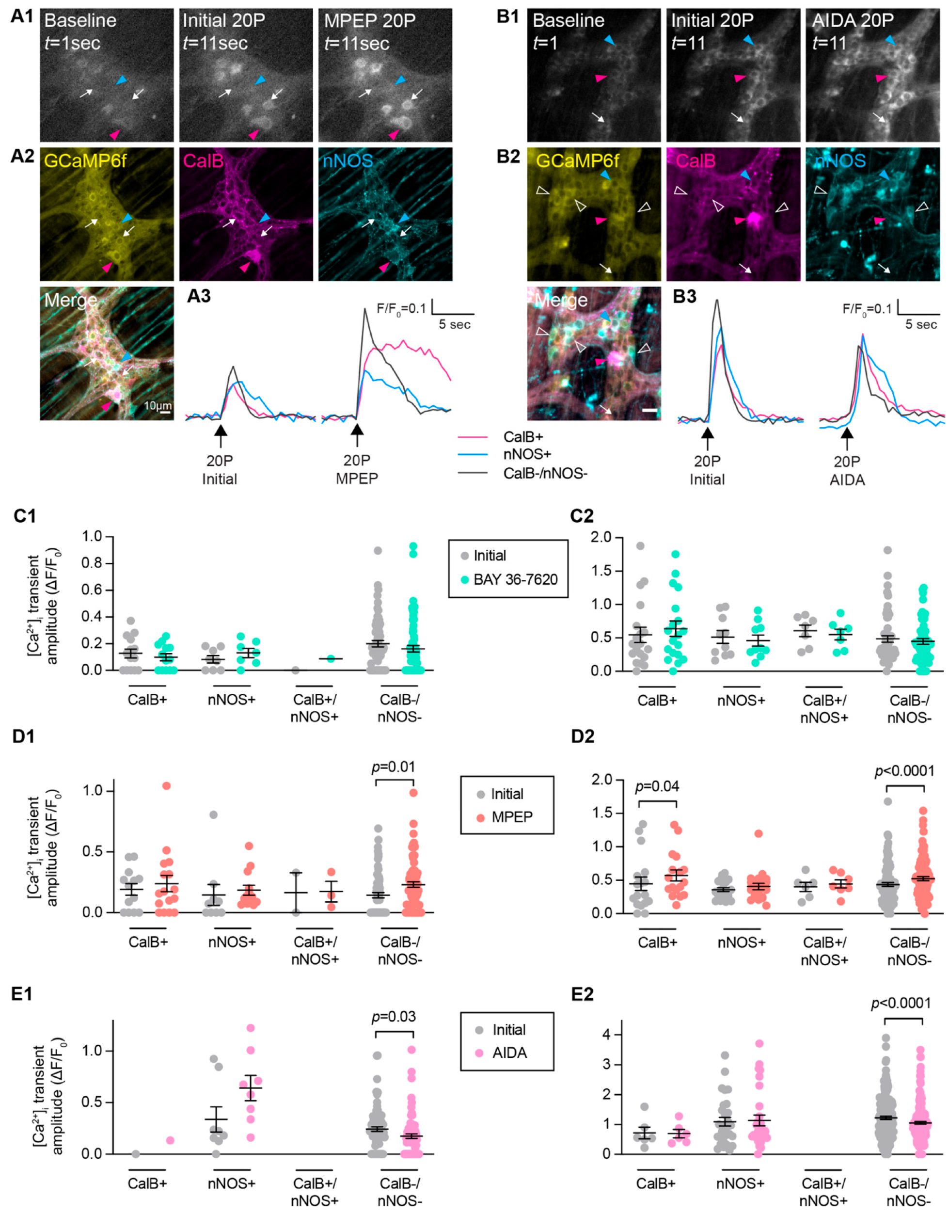 Biomolecules 13 00139 g005