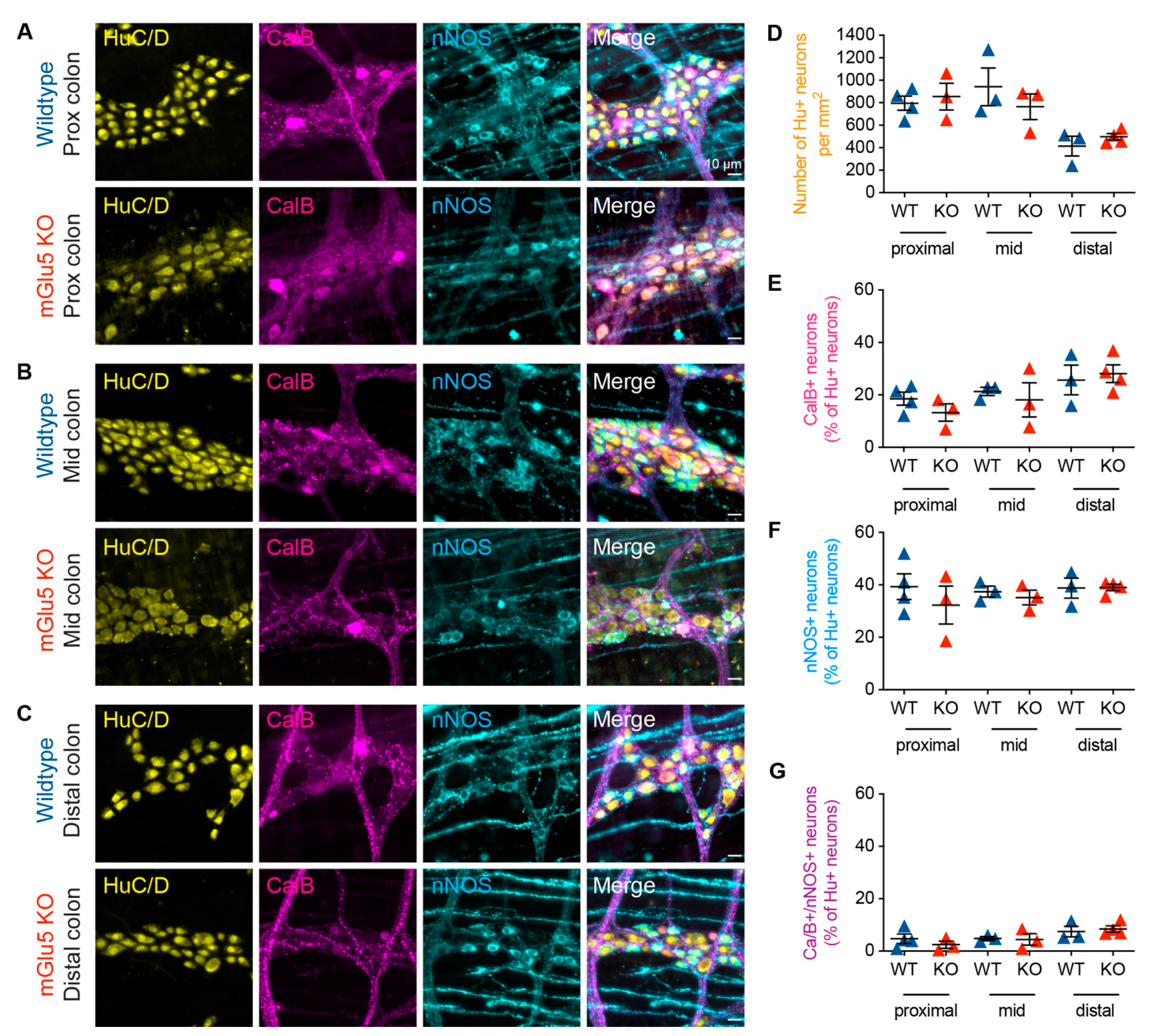 Biomolecules 13 00139 g007