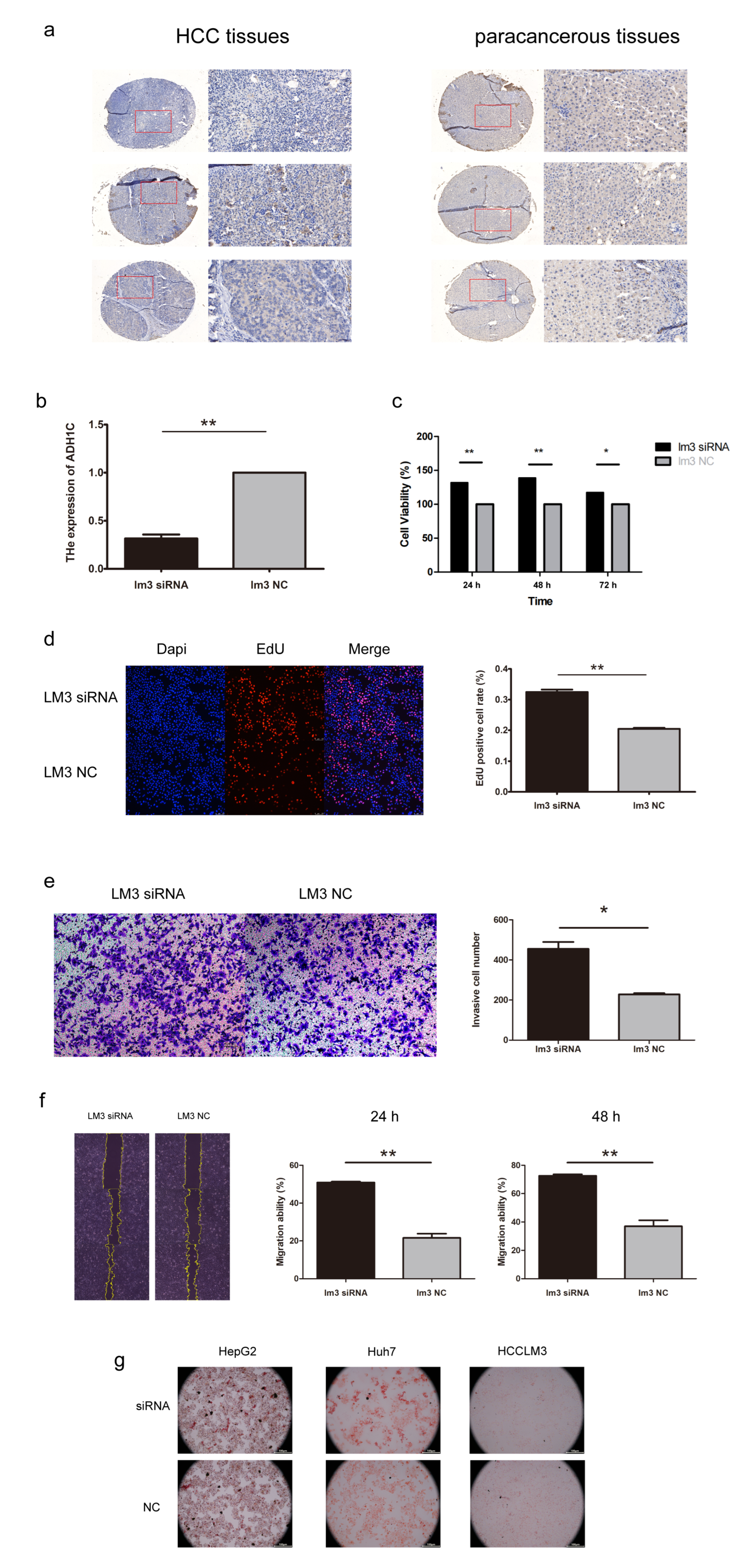 Biomolecules 13 00141 g009