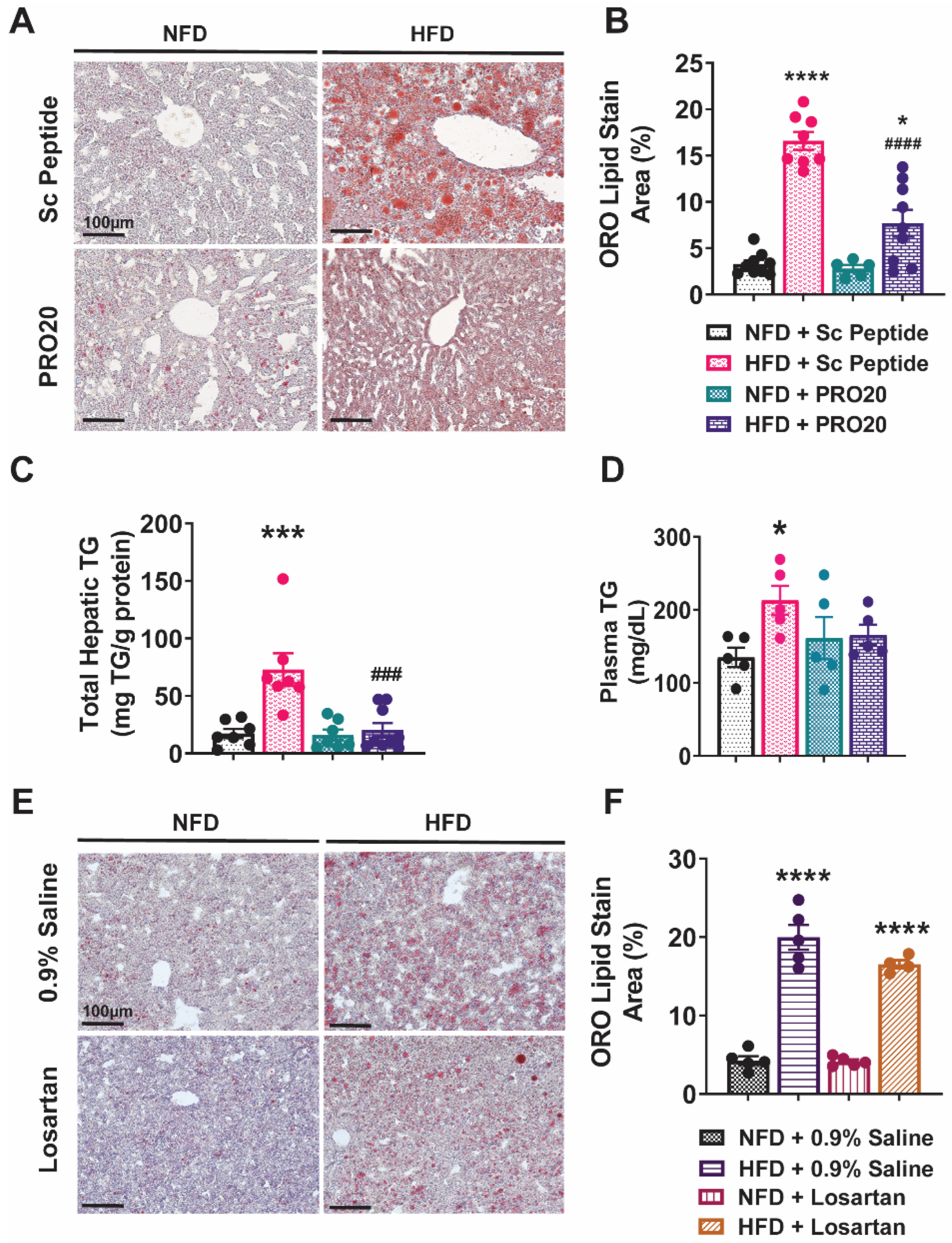 Biomolecules 13 00142 g001