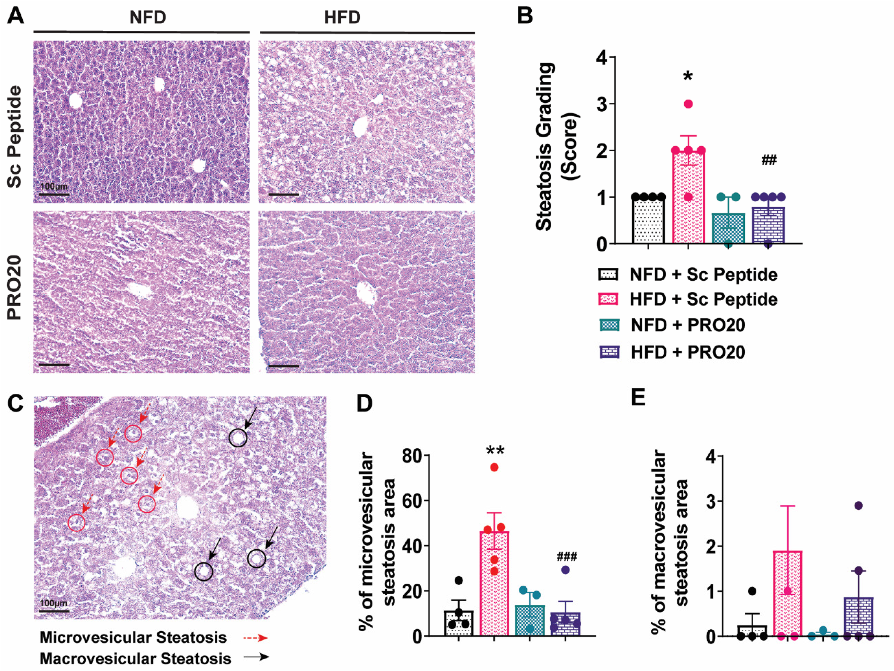 Biomolecules 13 00142 g002
