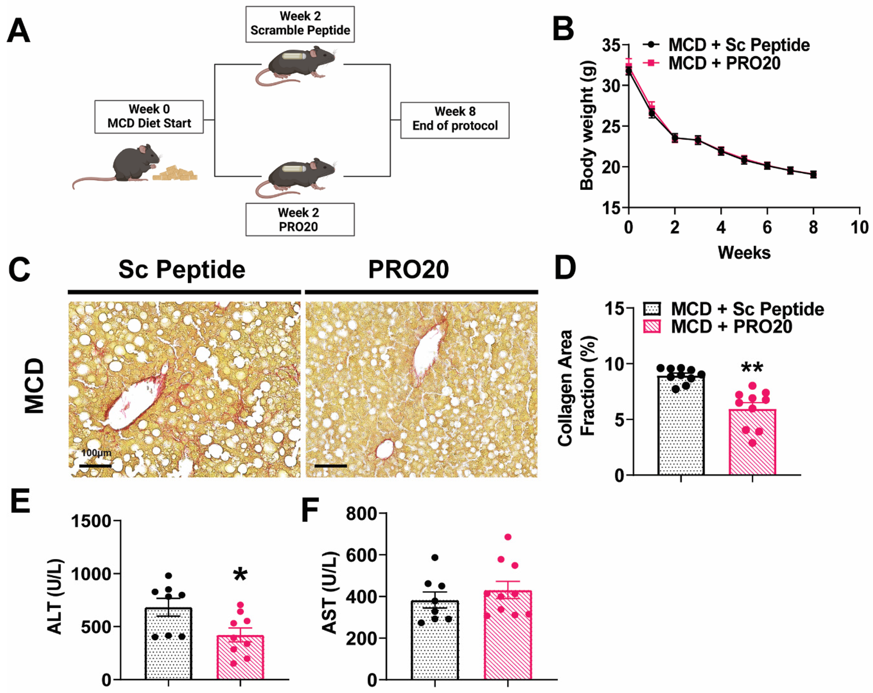 Biomolecules 13 00142 g003