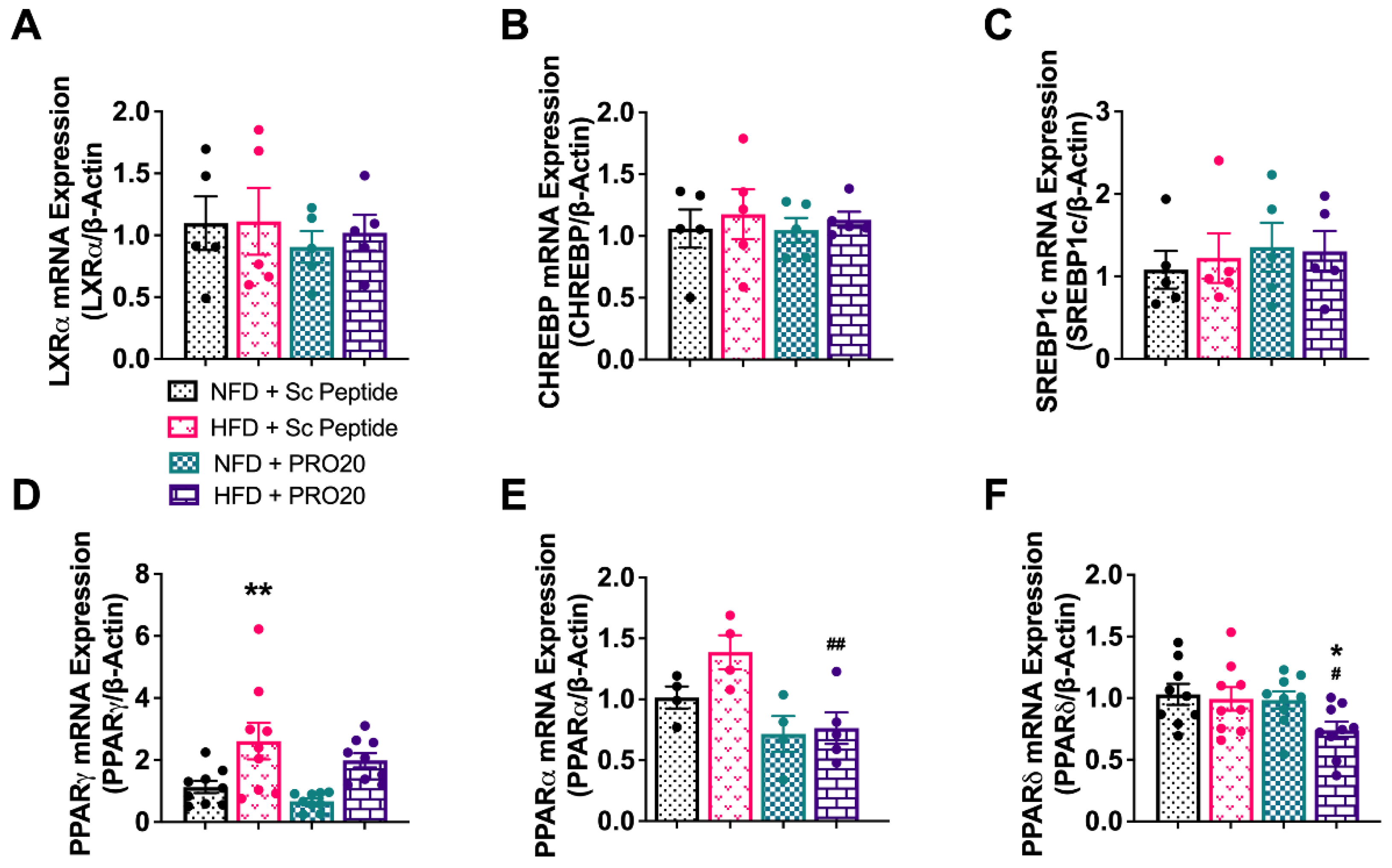 Biomolecules 13 00142 g004