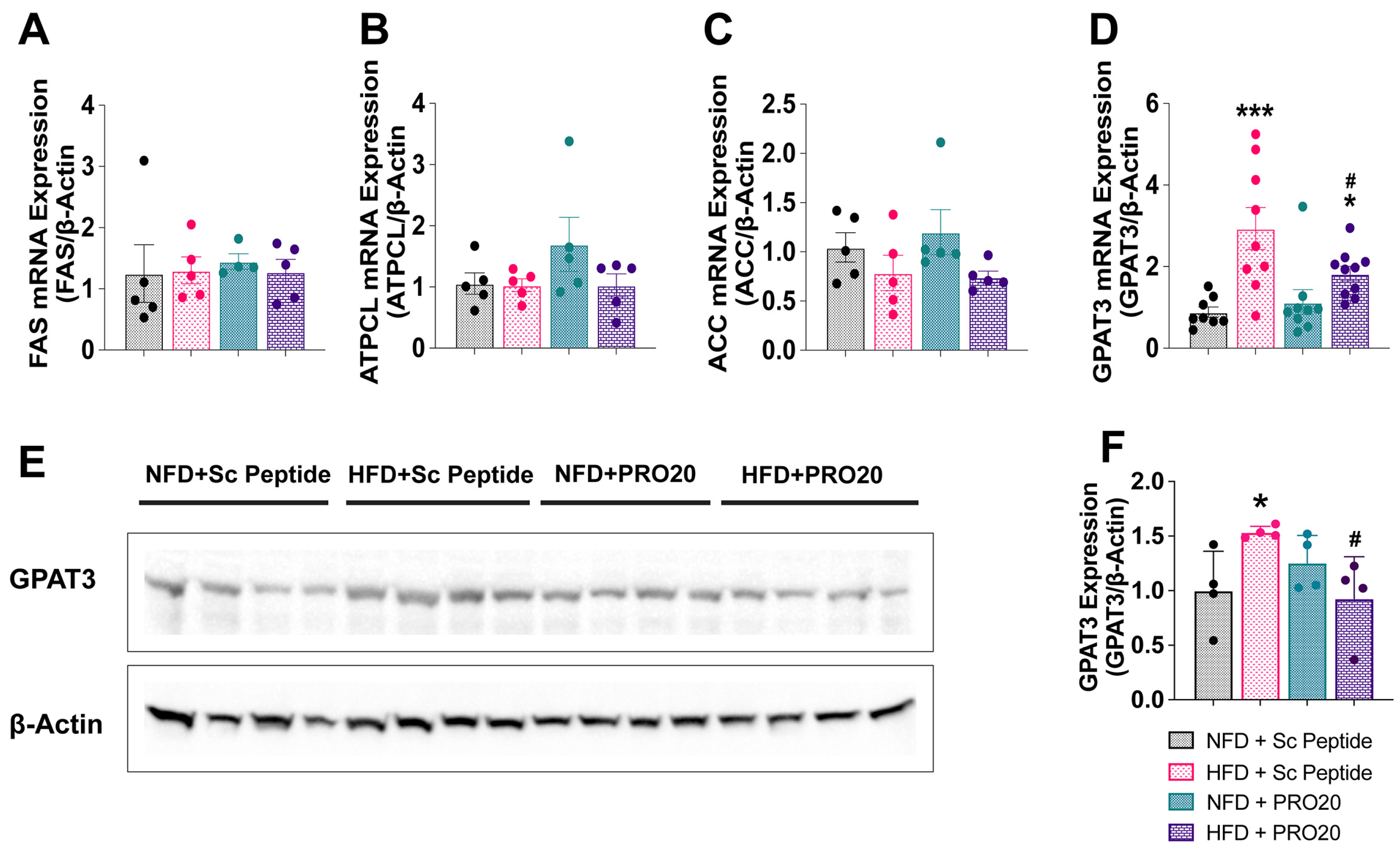 Biomolecules 13 00142 g005