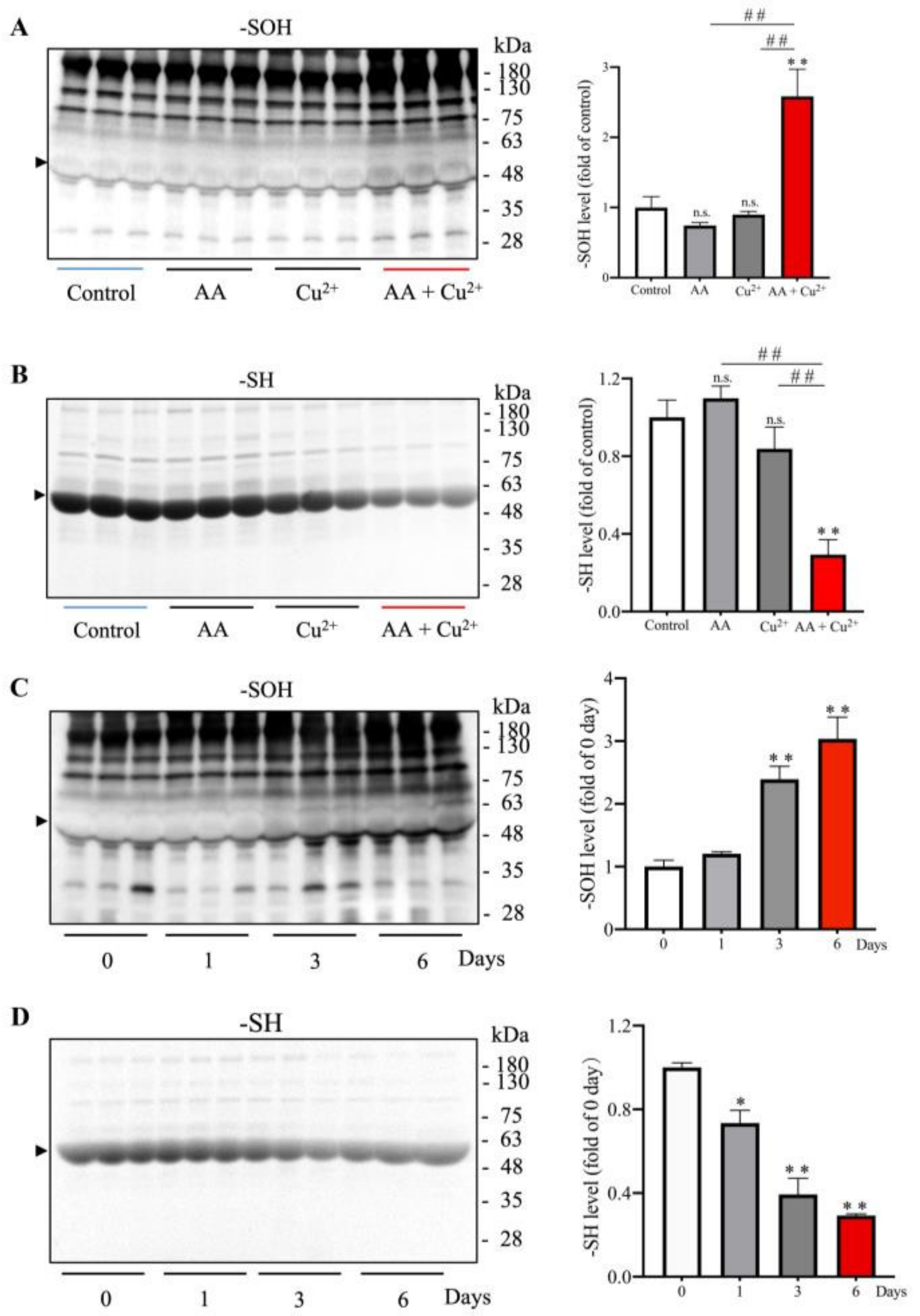 Biomolecules 13 00143 g001