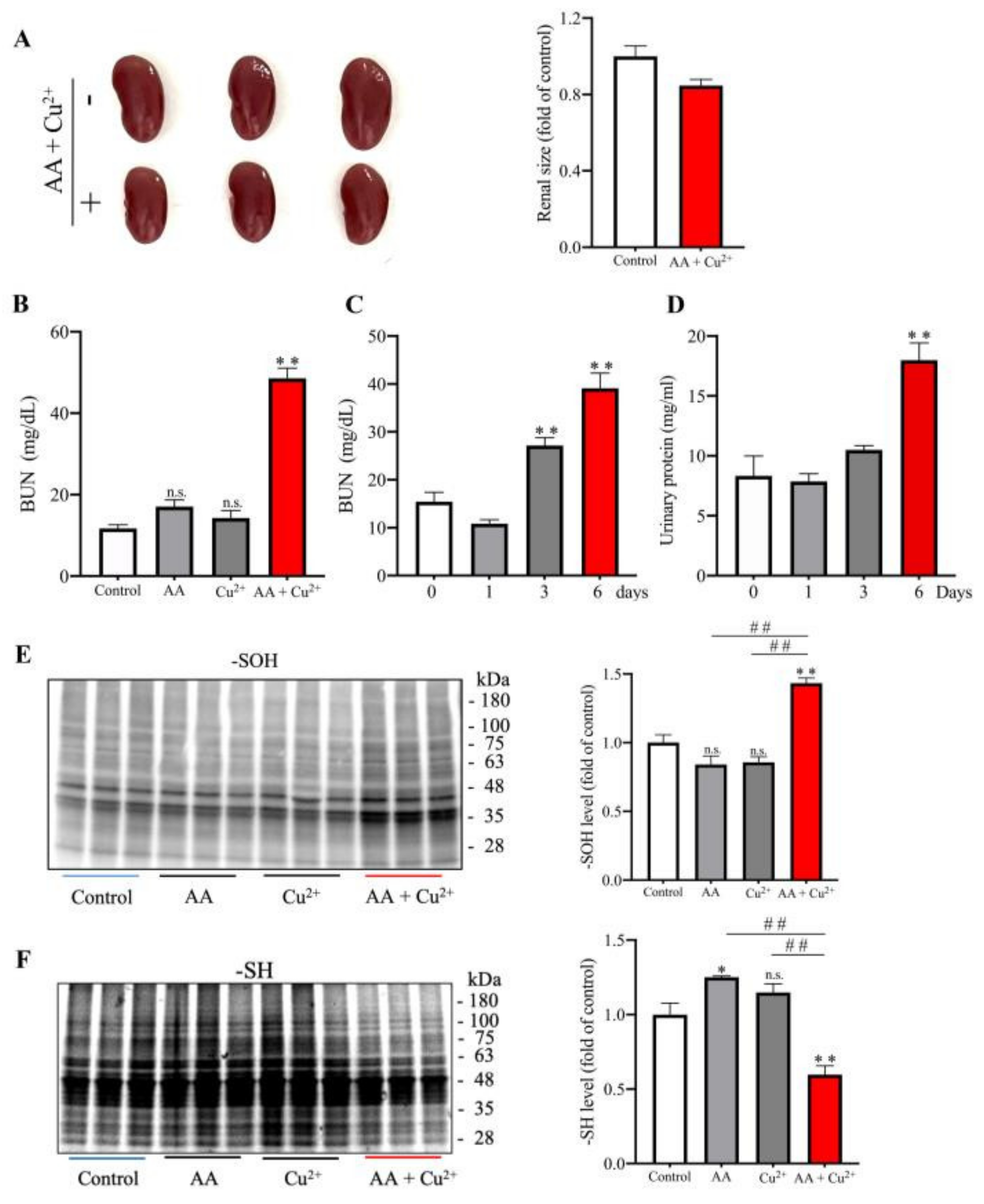 Biomolecules 13 00143 g003