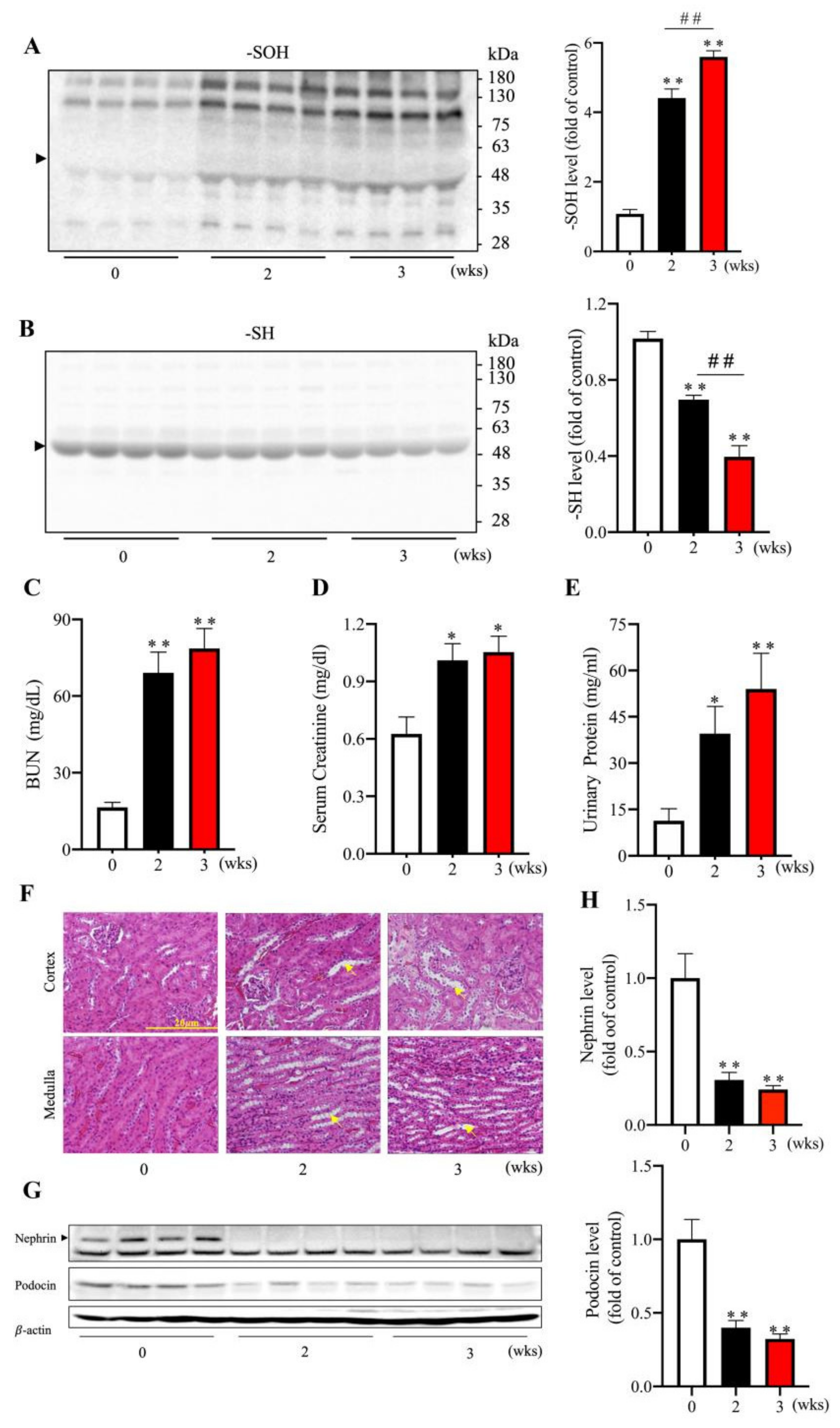 Biomolecules 13 00143 g005